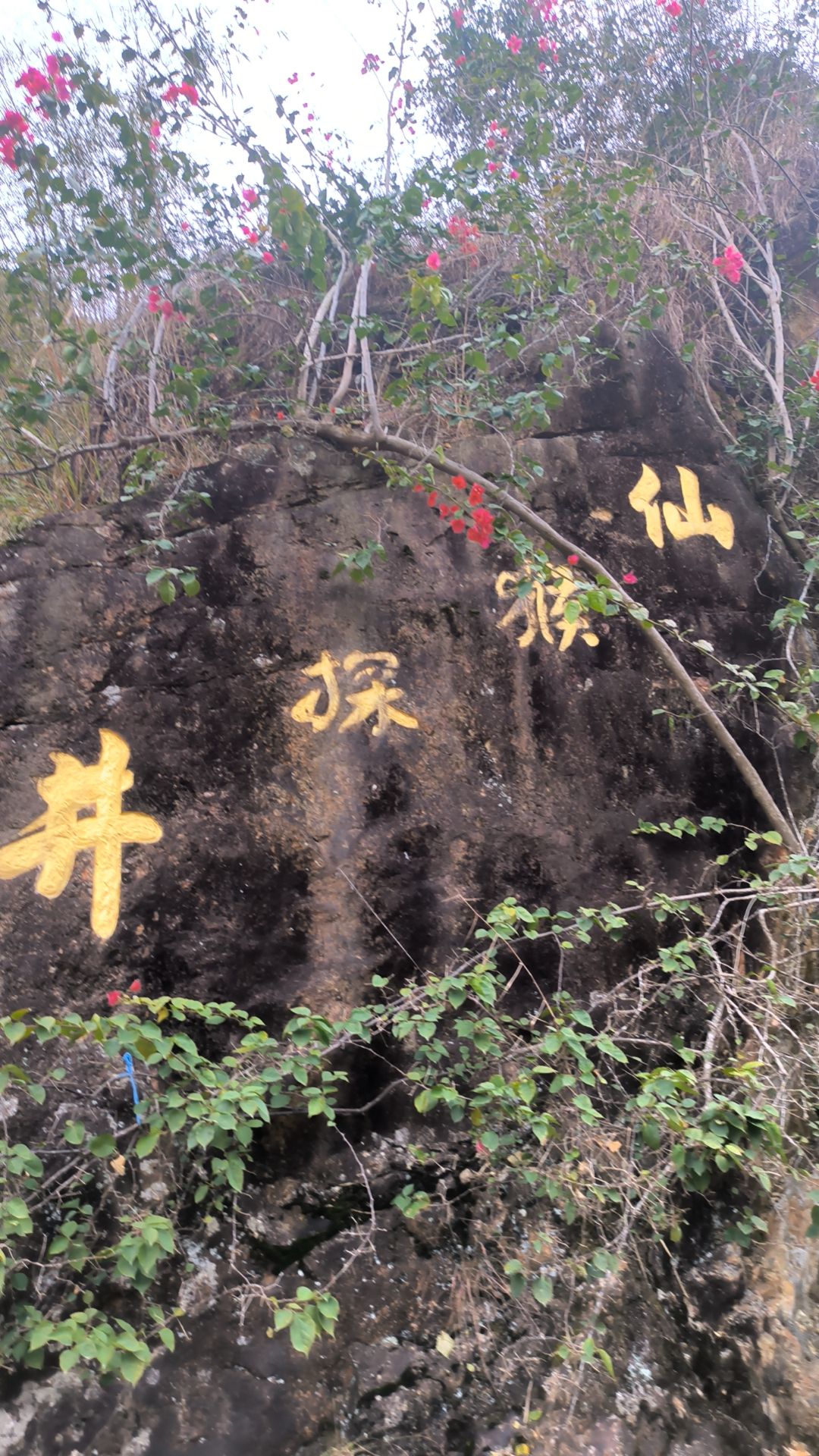 仙猴探井景区旅行图片 1