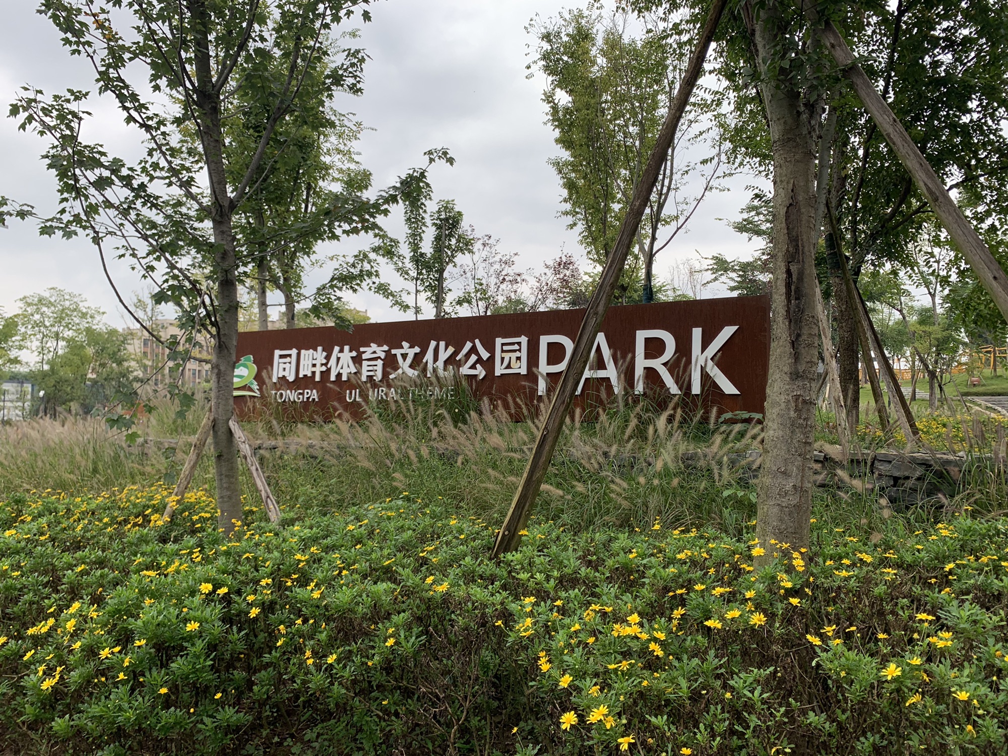同畔体育文化公园旅行图片 1