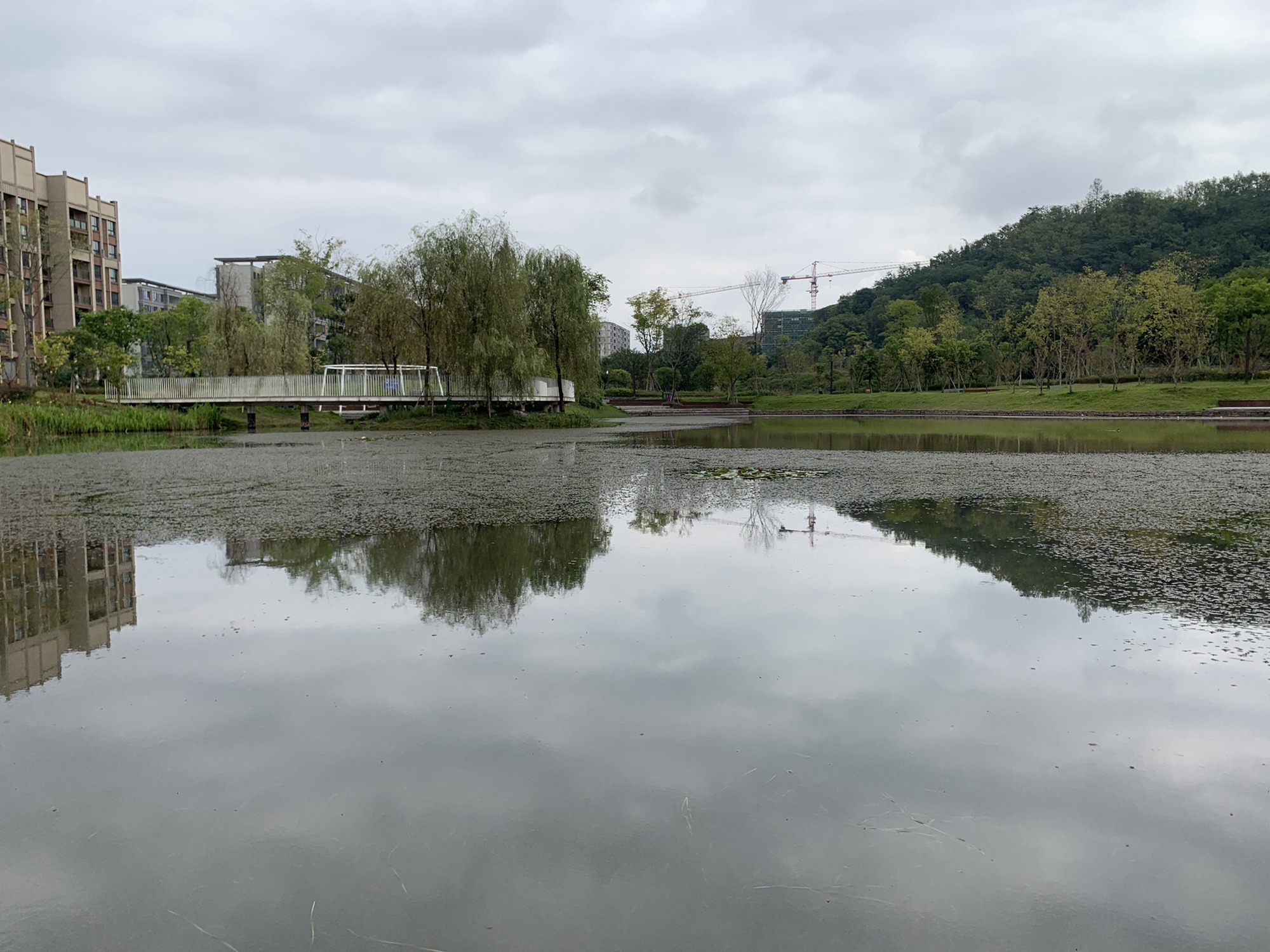 同畔体育文化公园旅行图片 3