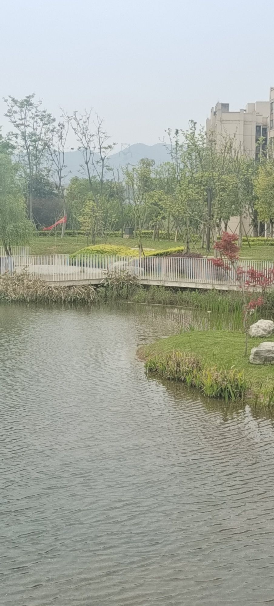 同畔体育文化公园旅行图片 1
