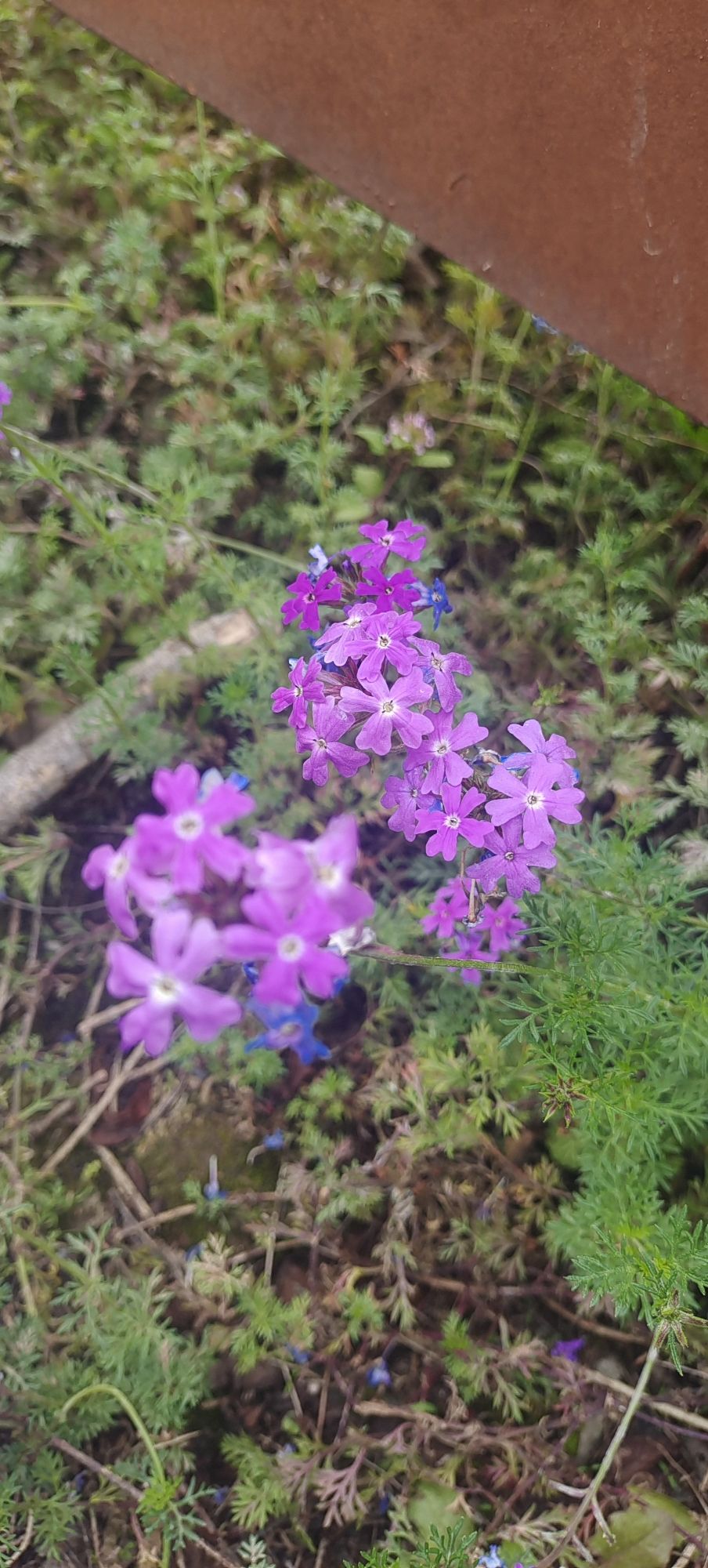 同畔体育文化公园旅行图片 3