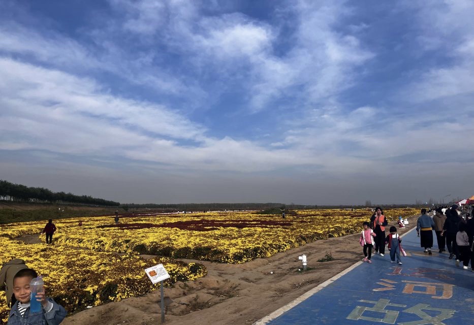 运河风情公园旅行图片 2