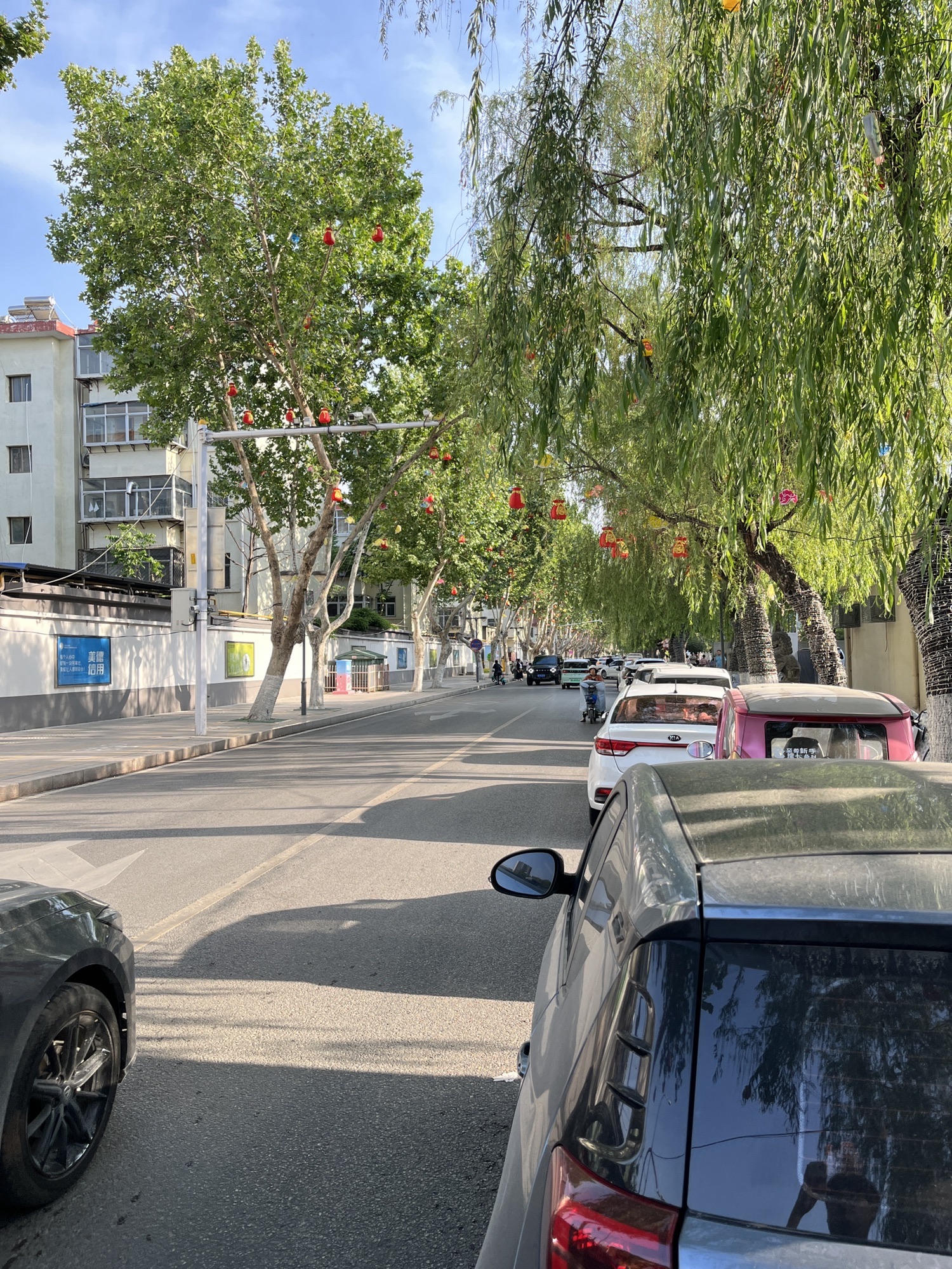 赵王河体育公园旅行图片 1