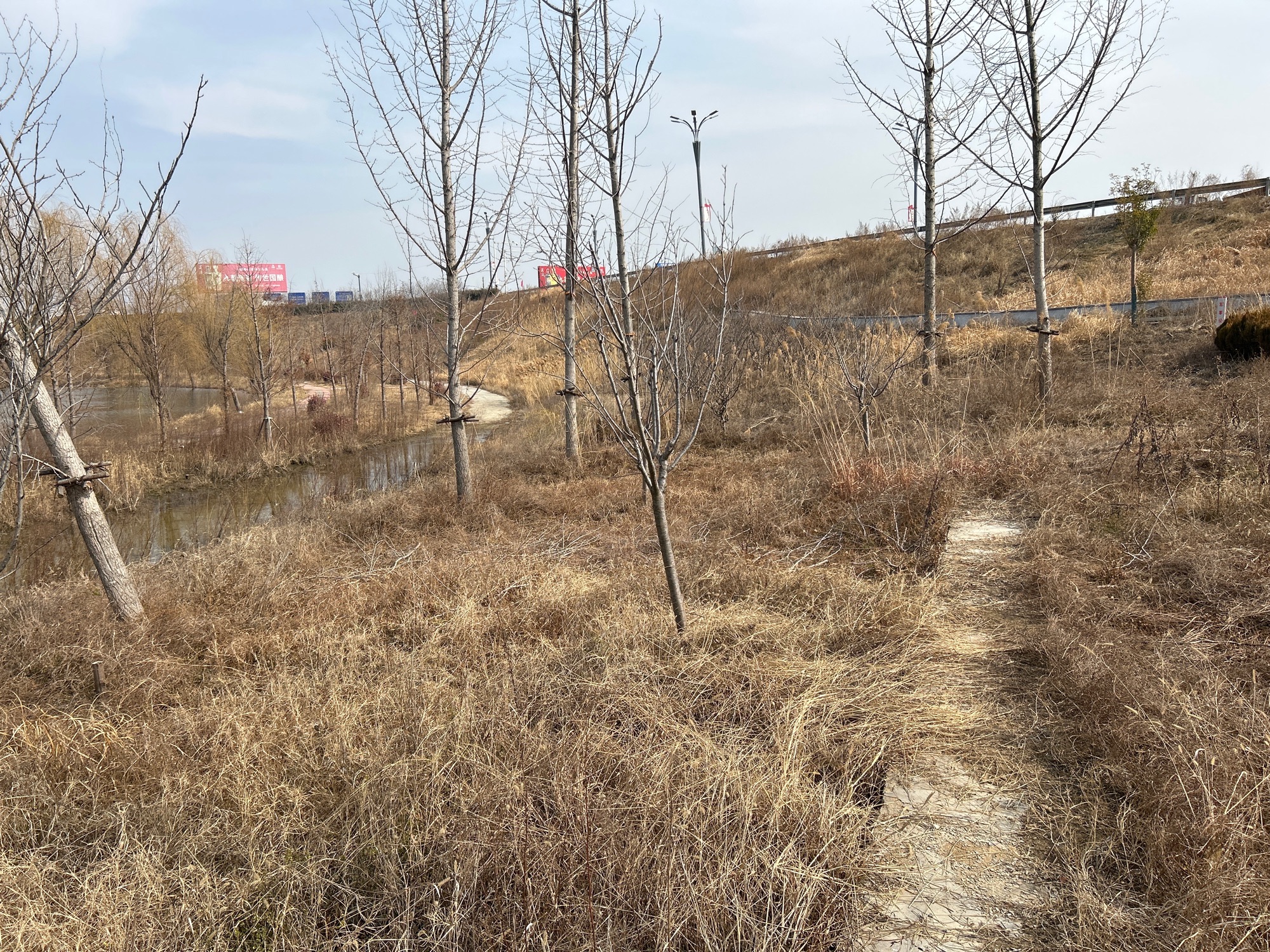 湿地公园旅行图片 1