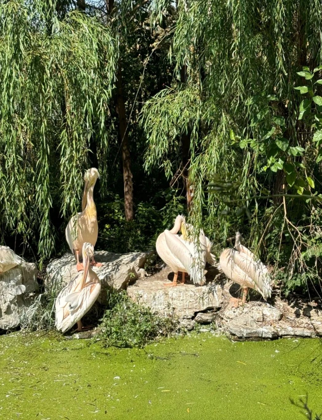湿地公园旅行图片 3