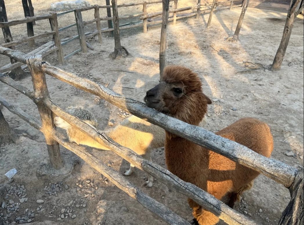 湿地公园旅行图片 1