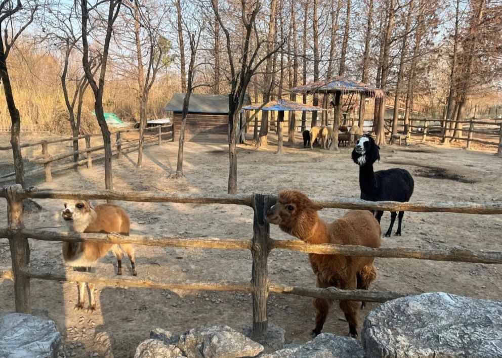 湿地公园旅行图片 2