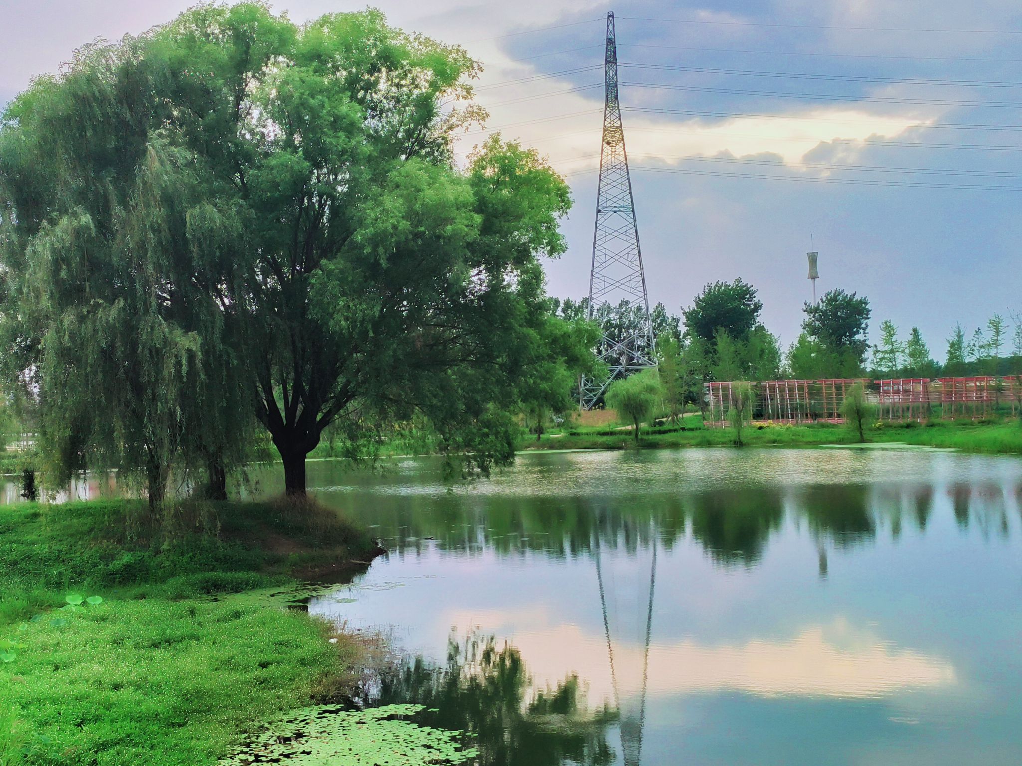 湿地公园旅行图片 1