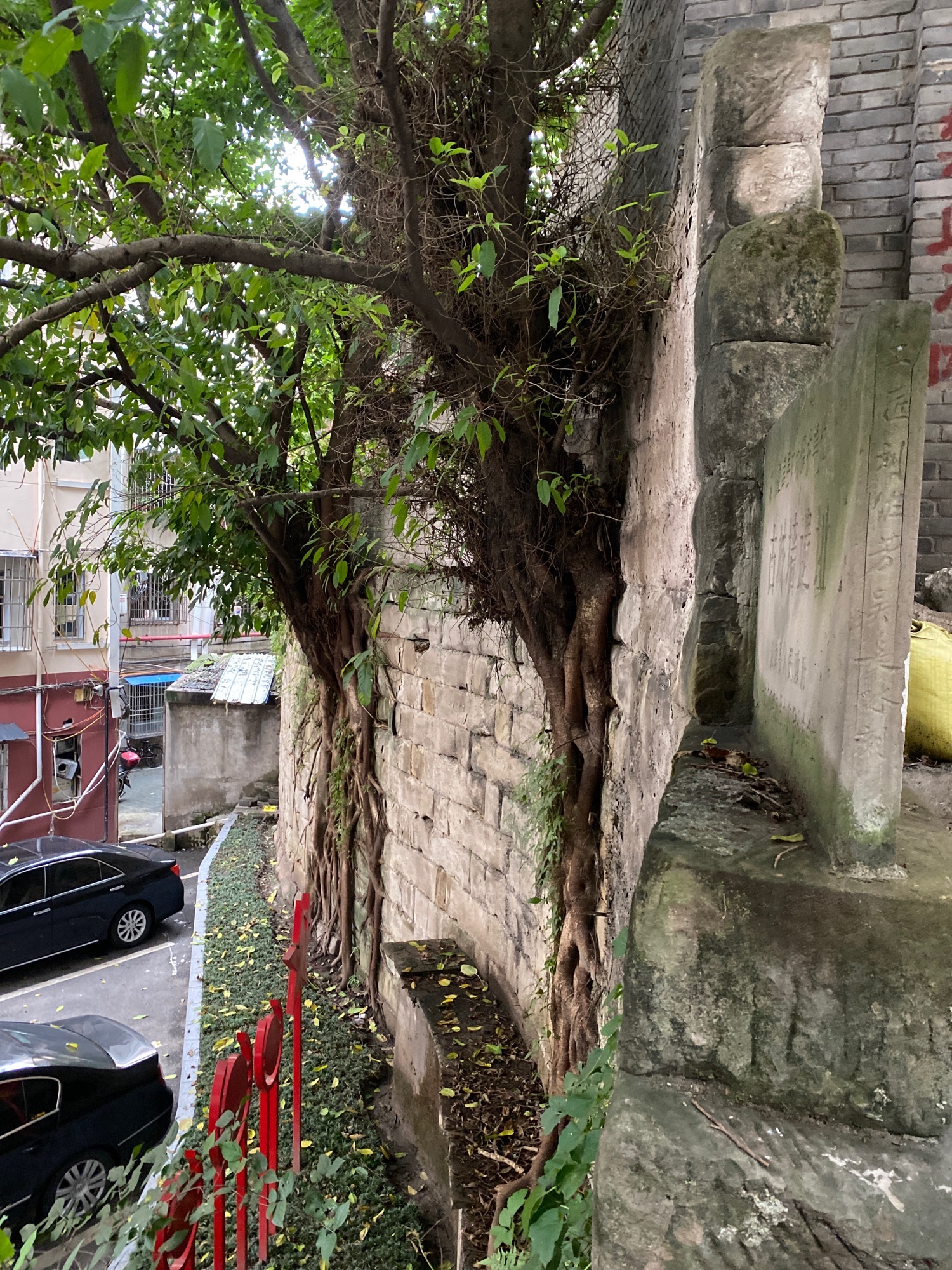 古城墙遗址旅行图片 2