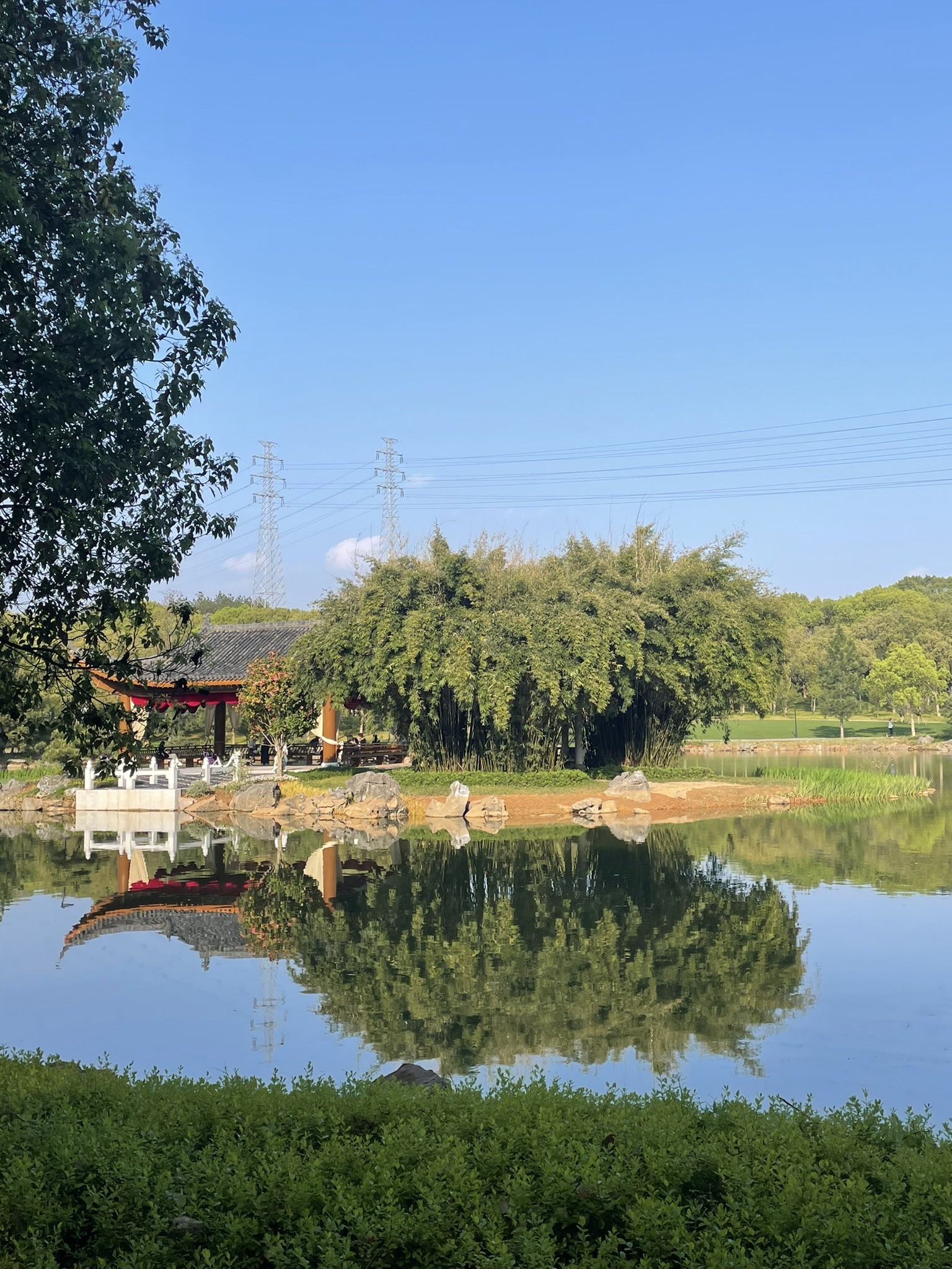 义乌市植物园旅行图片 2