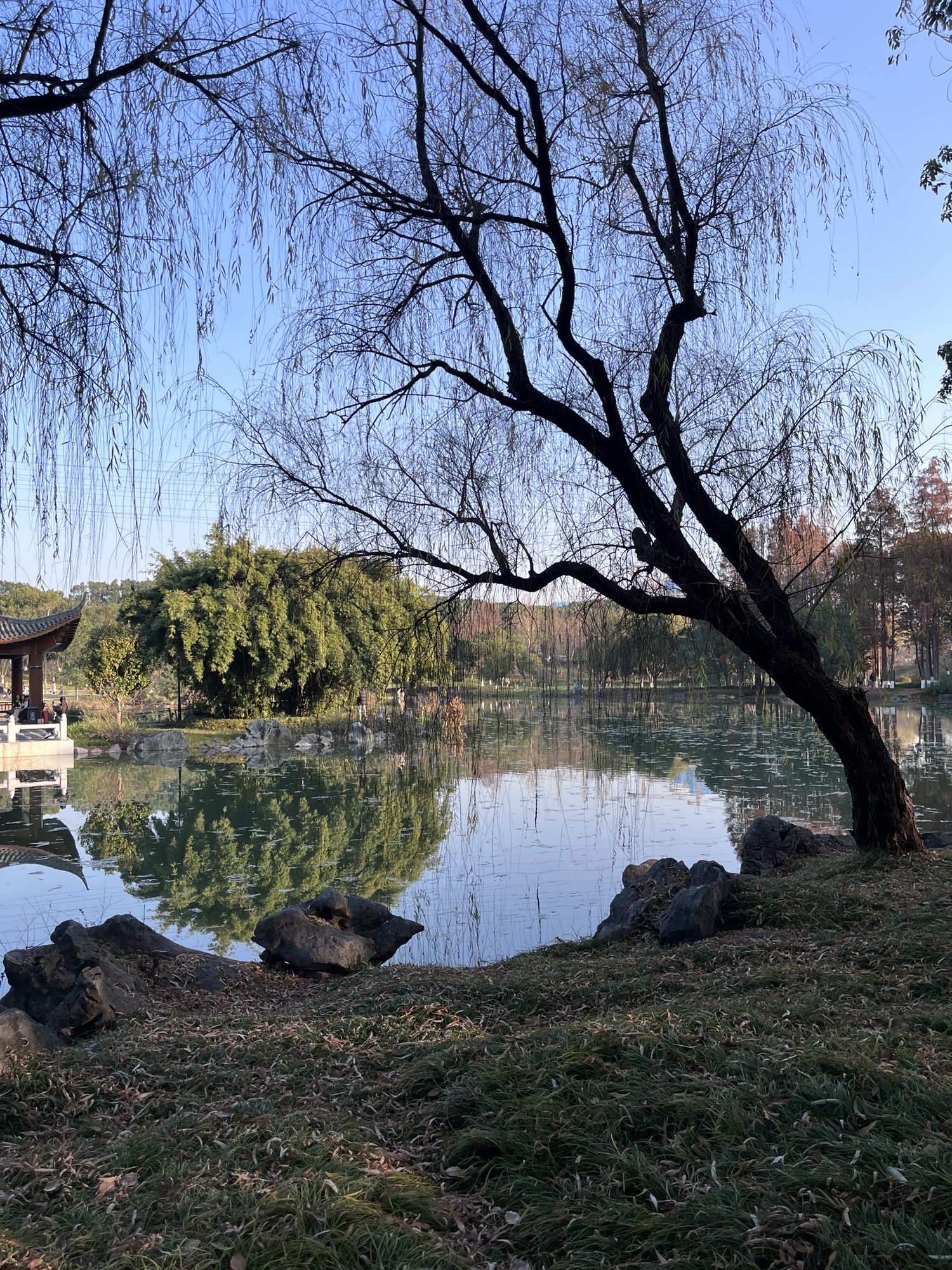 义乌市植物园旅行图片 3