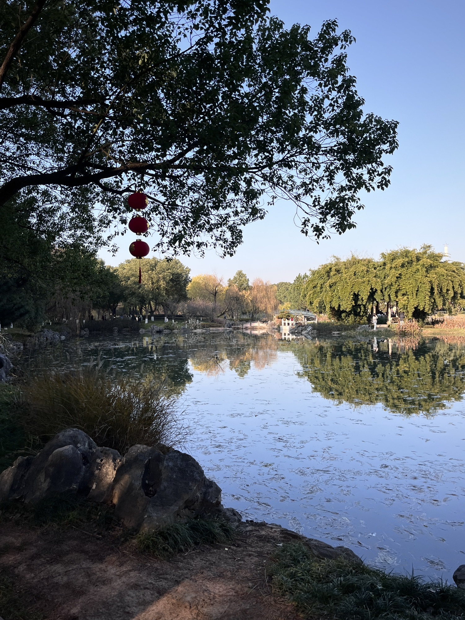 义乌市植物园旅行图片 2