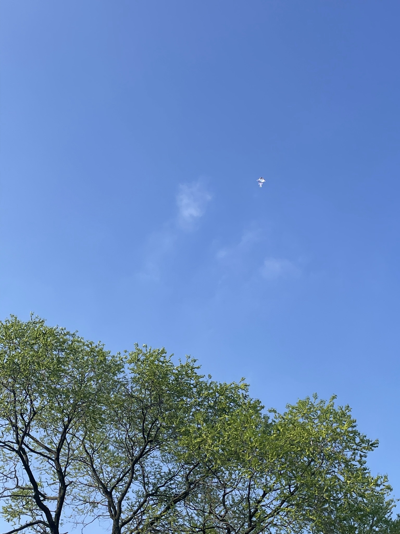 义乌市植物园旅行图片 3