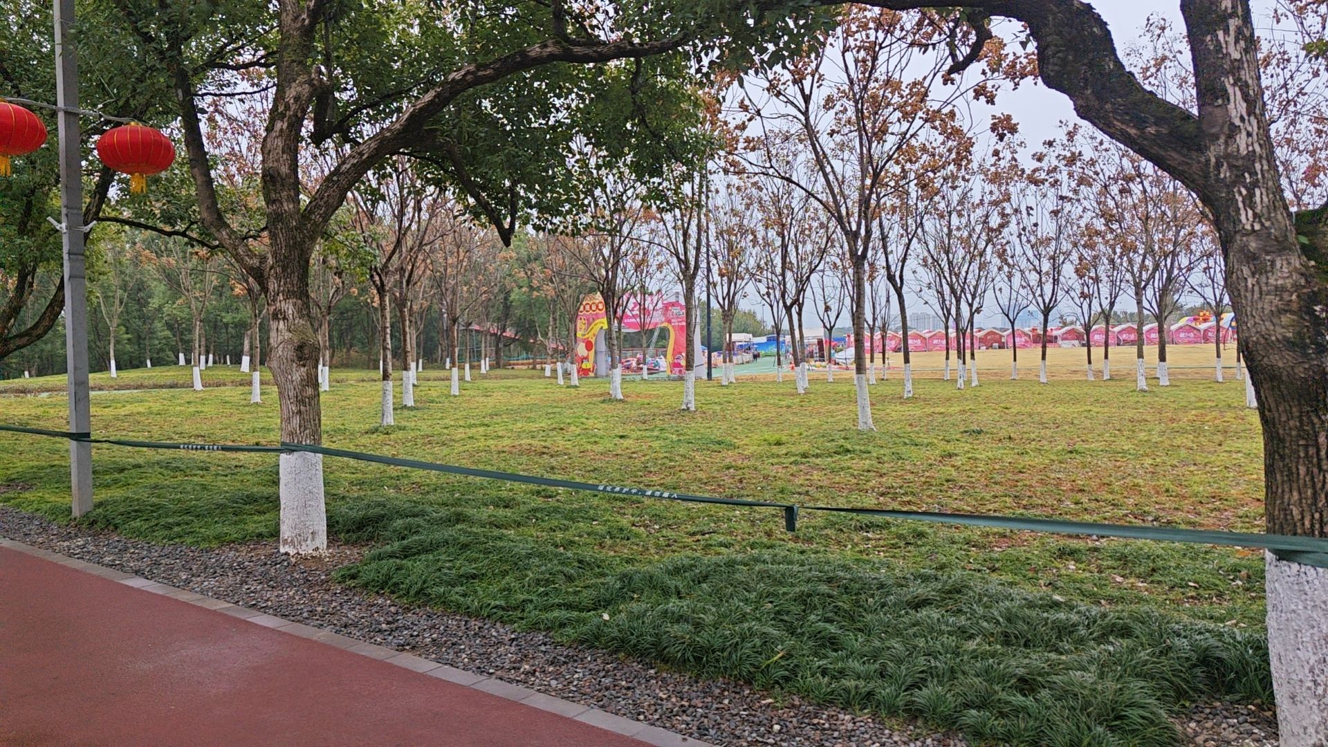 义乌市植物园旅行图片 3