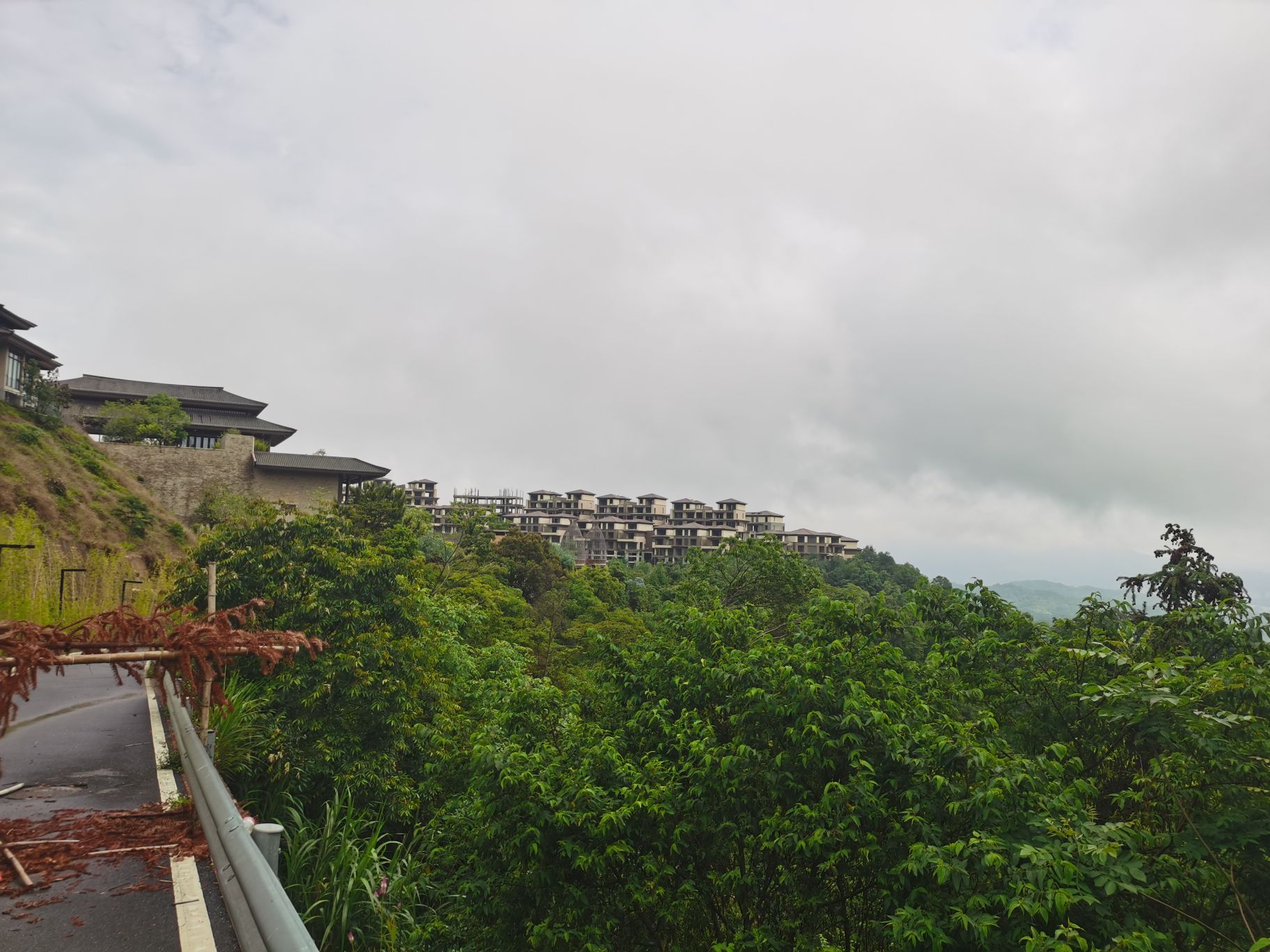 千年古梅旅行图片 1