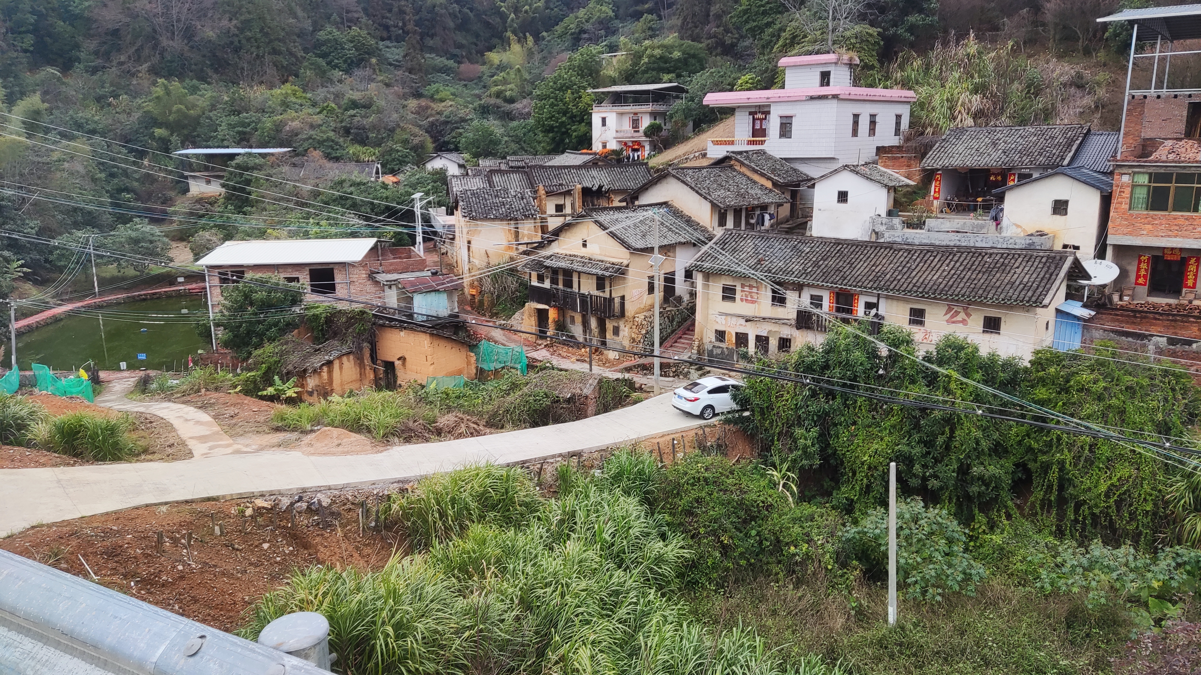 千年古梅旅行图片 3