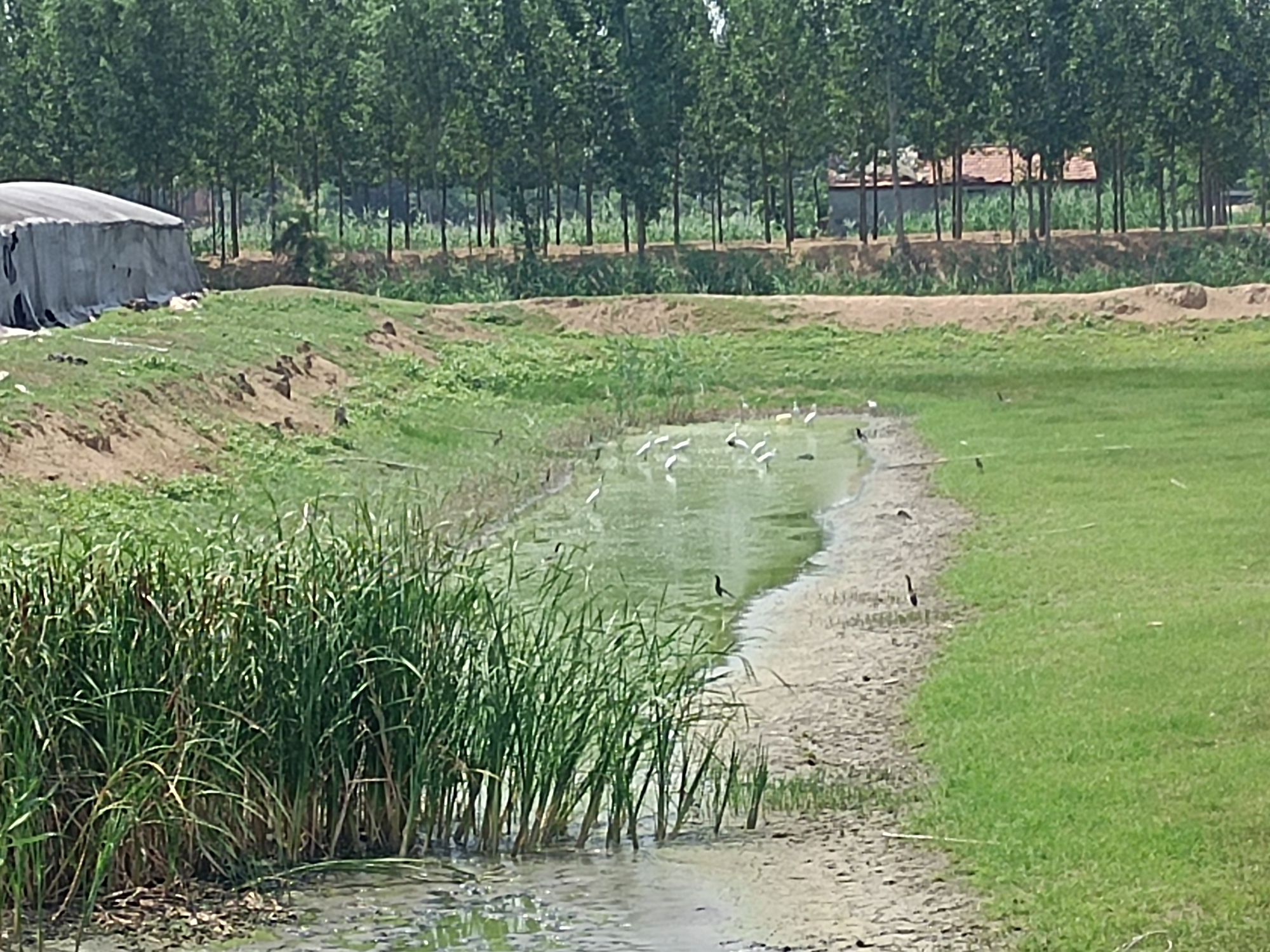 苏家村文化广场旅行图片 1