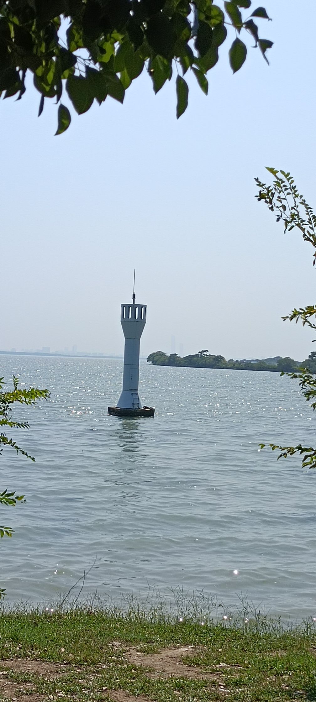 阳澄湖健康步道旅行图片 2