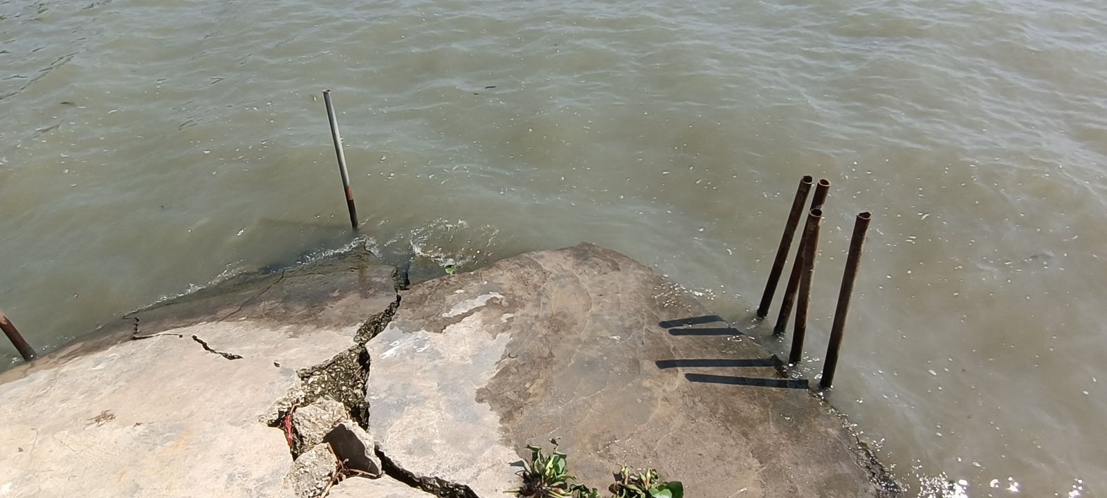 阳澄湖健康步道旅行图片 3