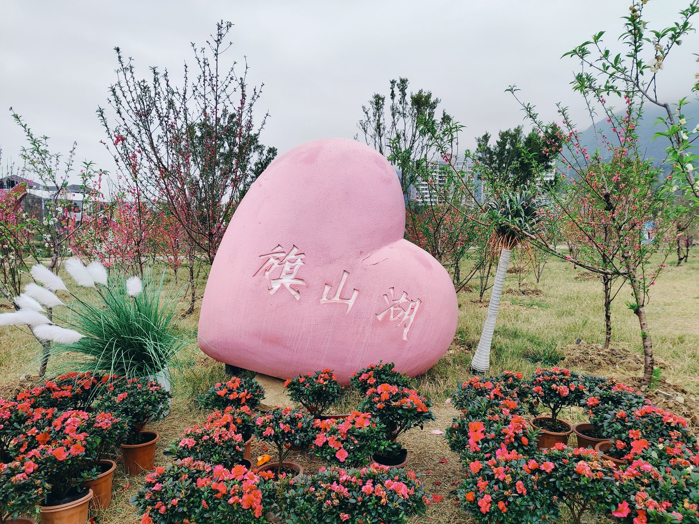 旗山湖公园旅行图片 1