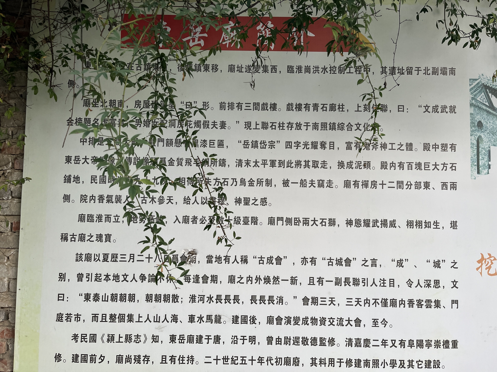 东岳庙遗址旅行图片 3
