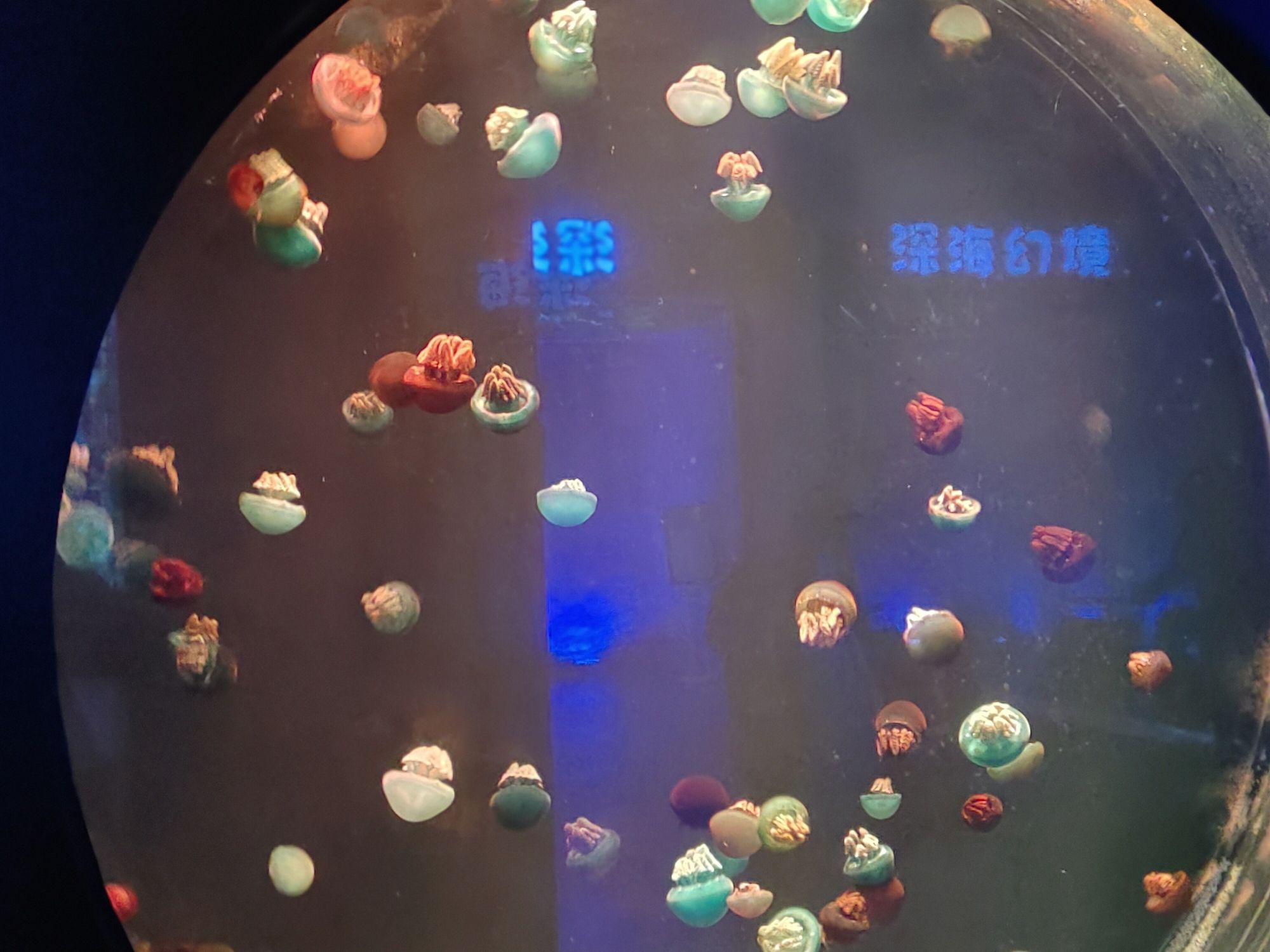 哈尔滨极地公园旅行图片 3