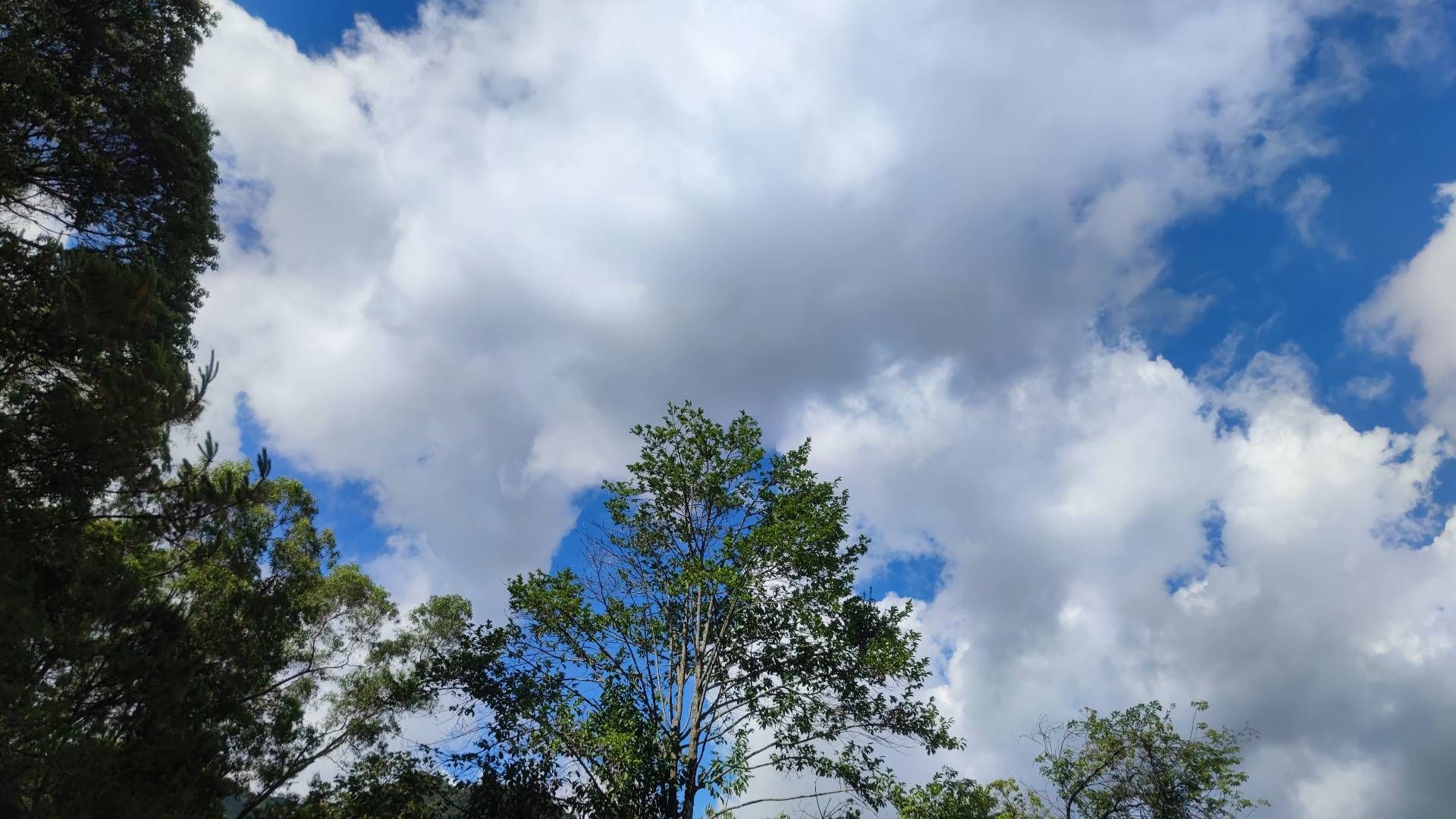 白云山风景区旅行图片 3