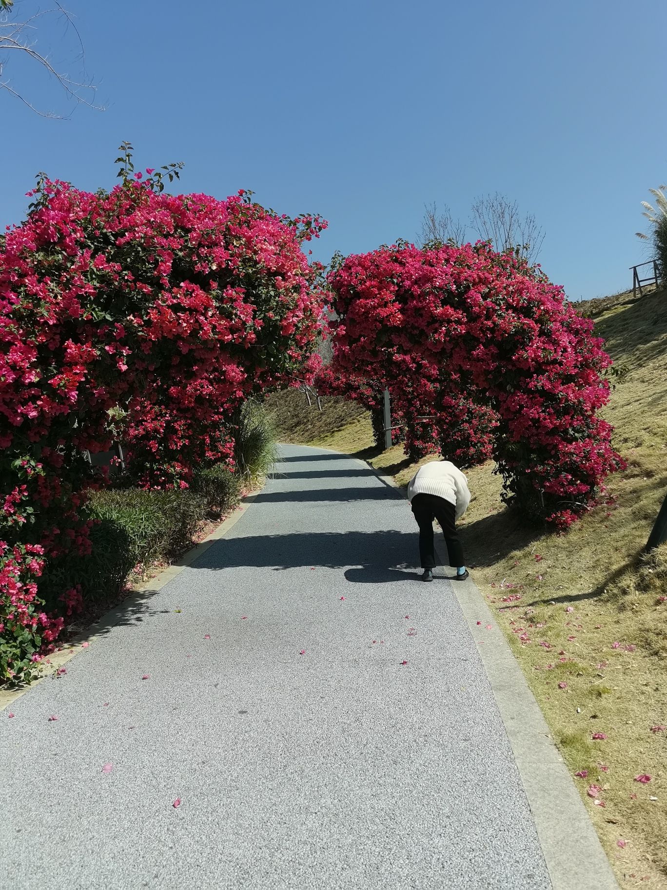 太阳湖公园旅行图片 1
