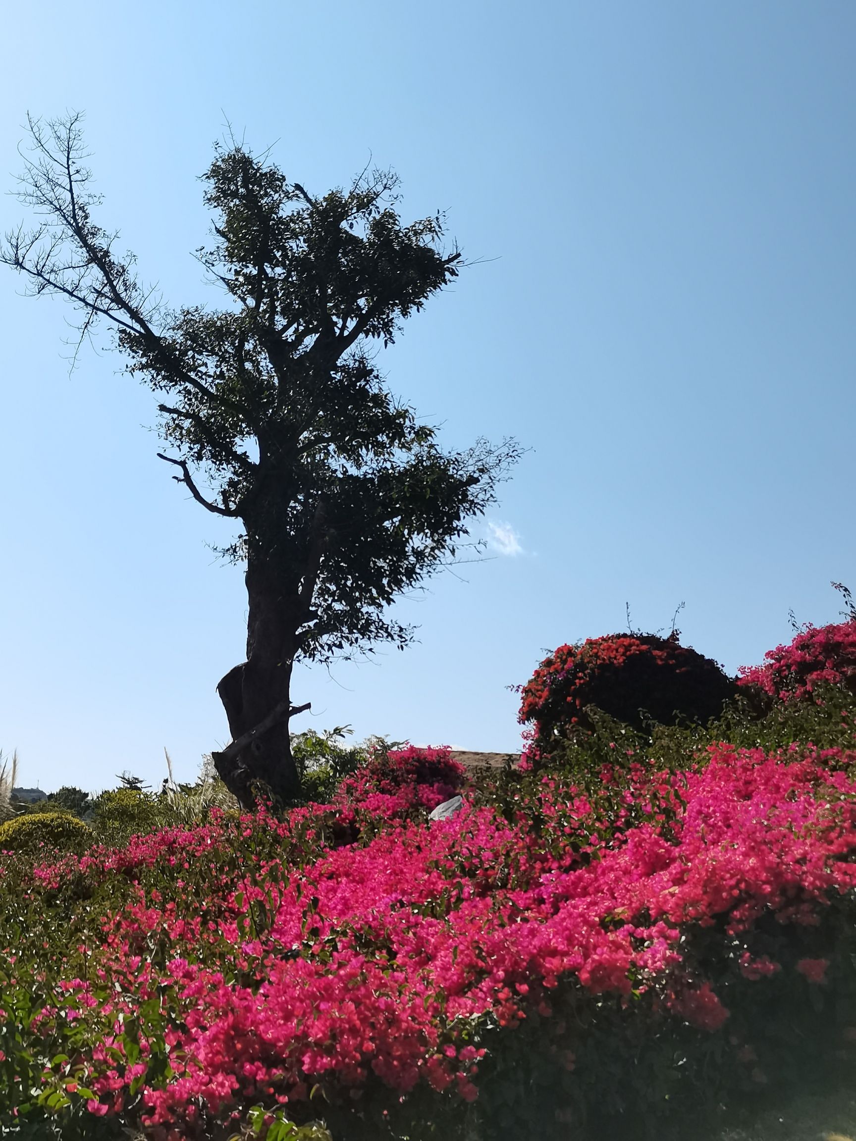 太阳湖公园旅行图片 1