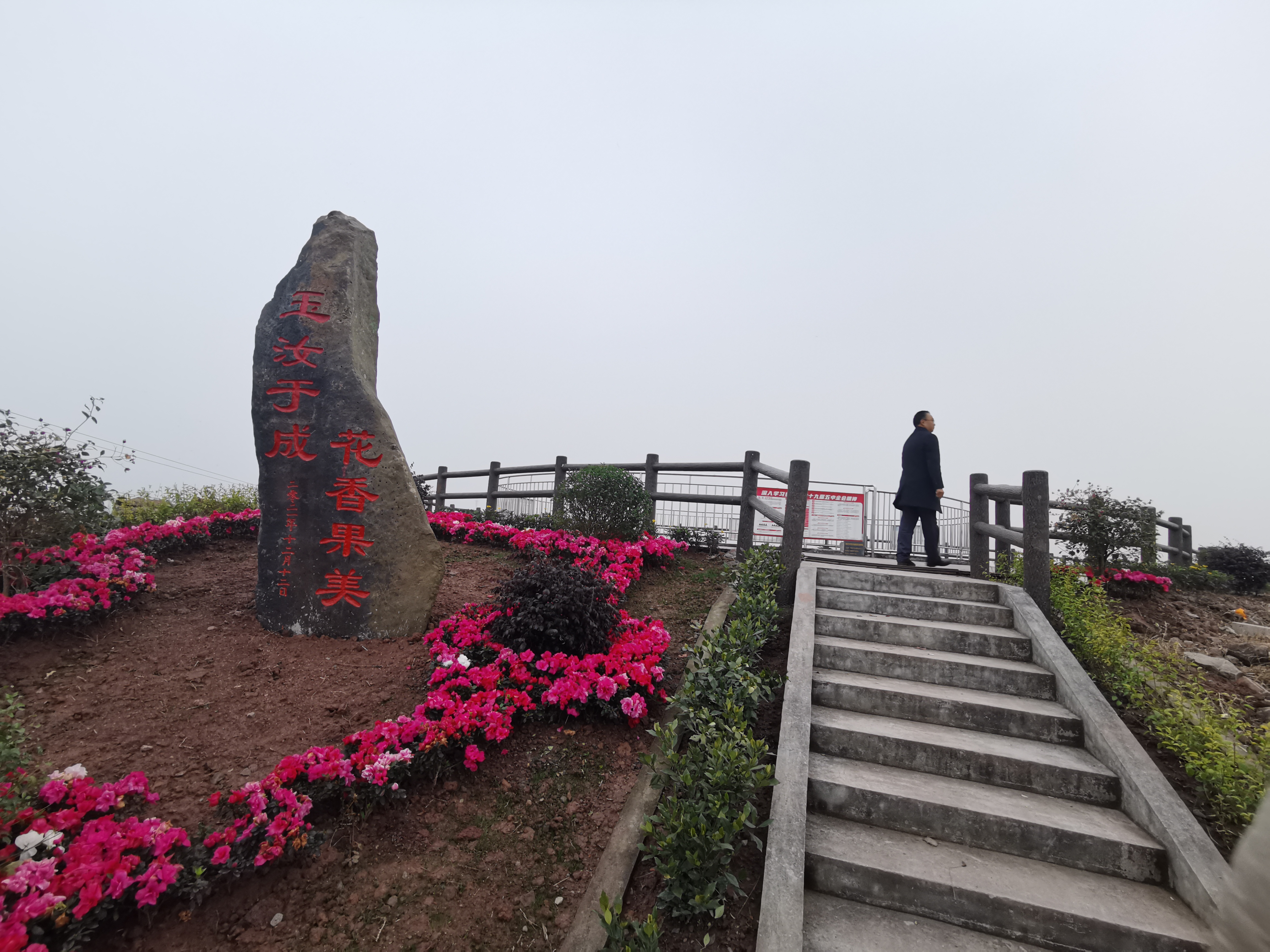 荣县度佳镇芭蕉湾春见种植中心(观景台)旅行图片 2