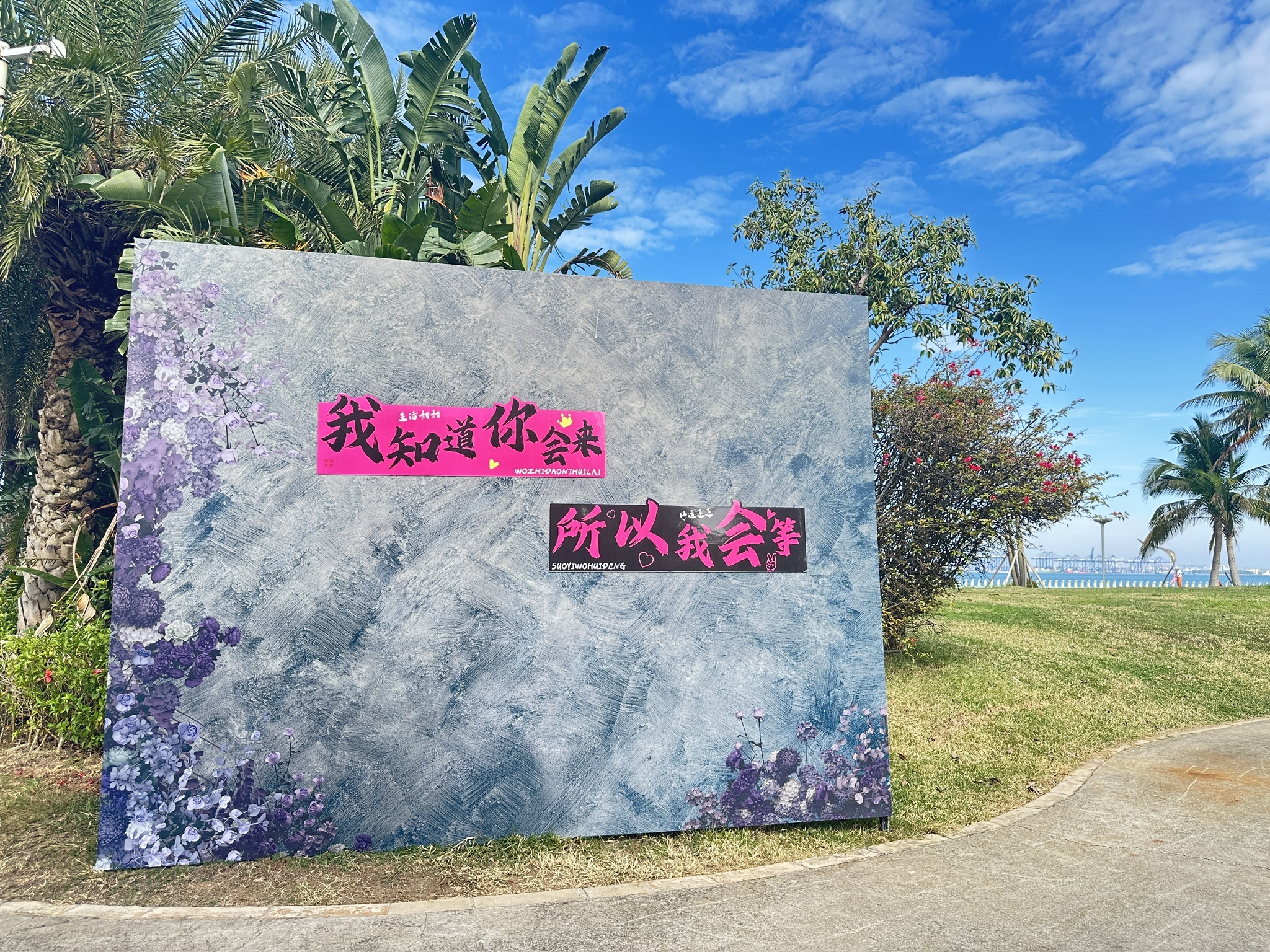 中国海南海花岛观海公园