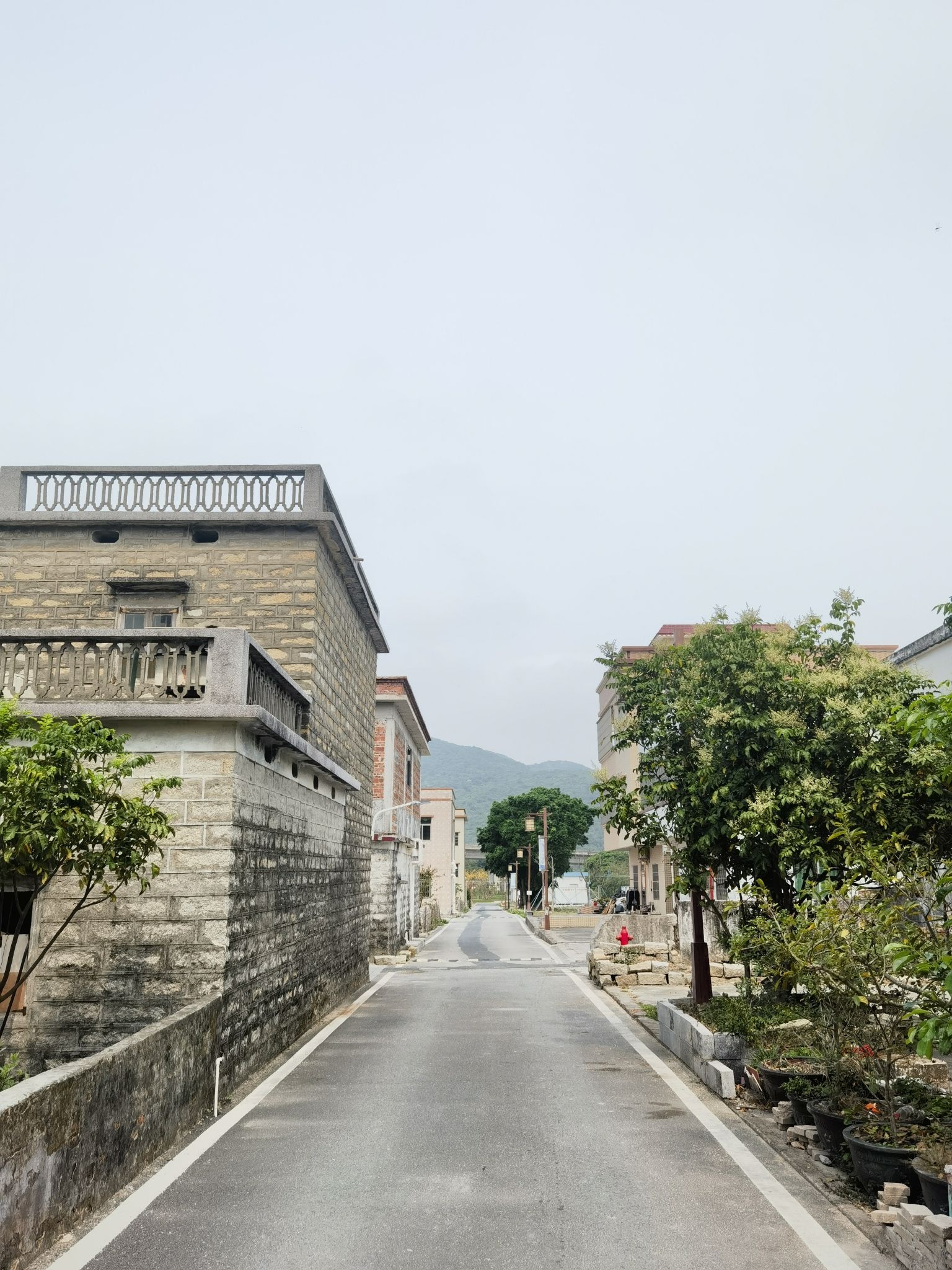 佰斯纳特坚果世界旅行图片 3