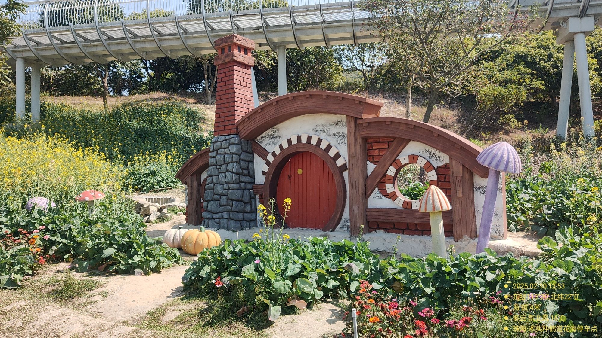 佰斯纳特坚果世界旅行图片 3