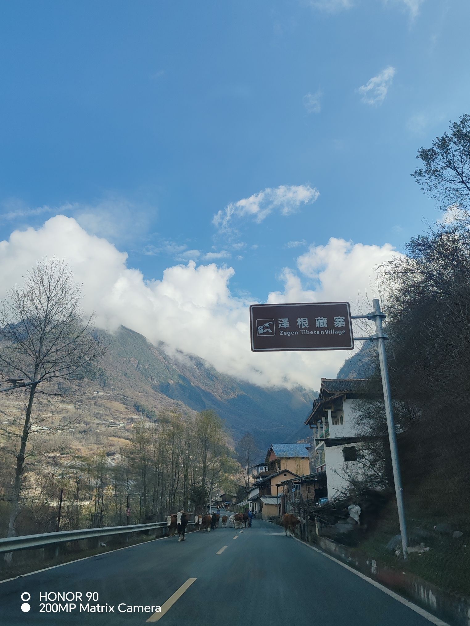 夹金山垭口(暂停开放)旅行图片 1