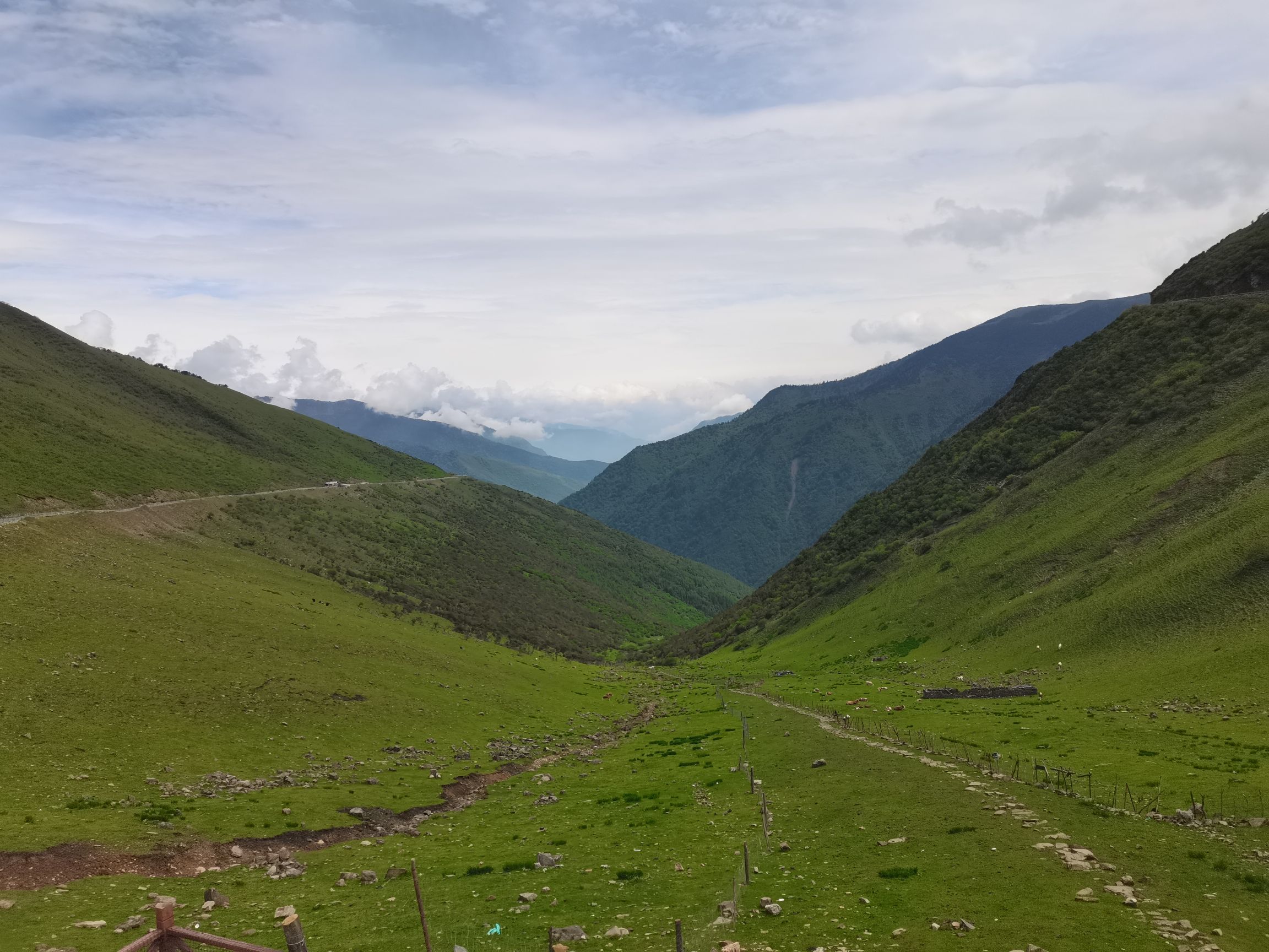 夹金山垭口(暂停开放)旅行图片 3