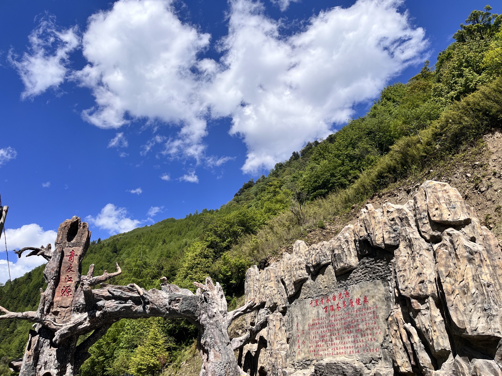 夹金山垭口(暂停开放)旅行图片 3
