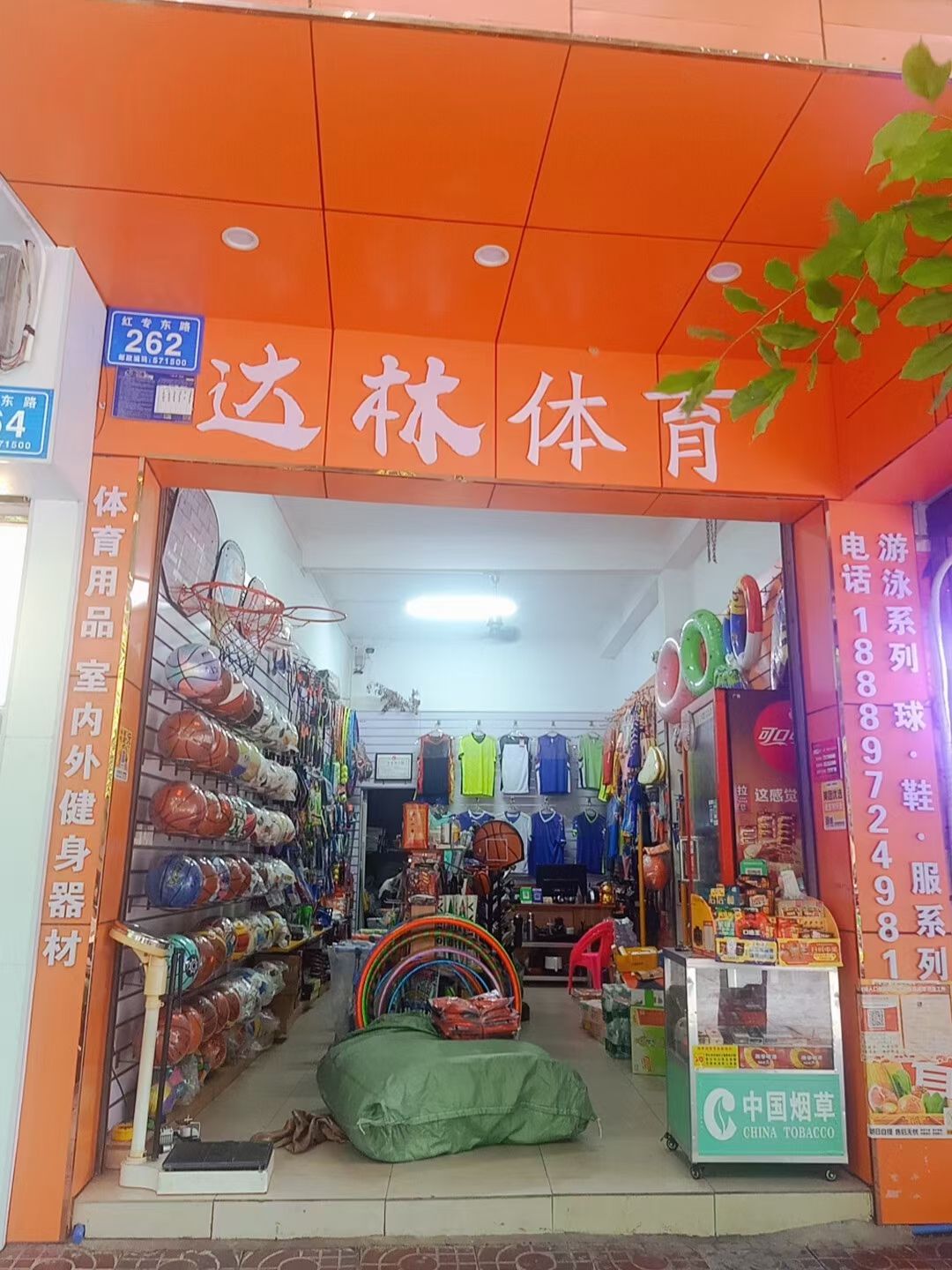 达林体育