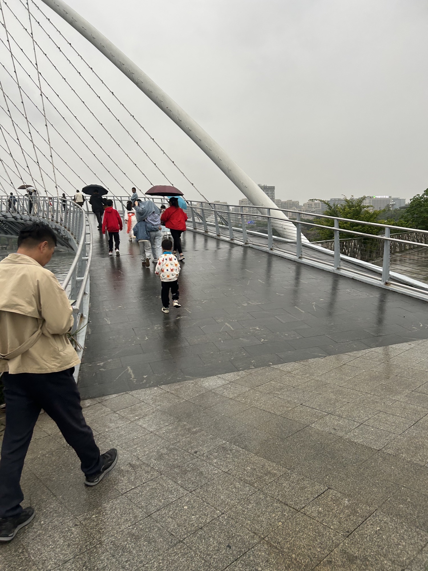 苍南新区中心湖公园旅行图片 2