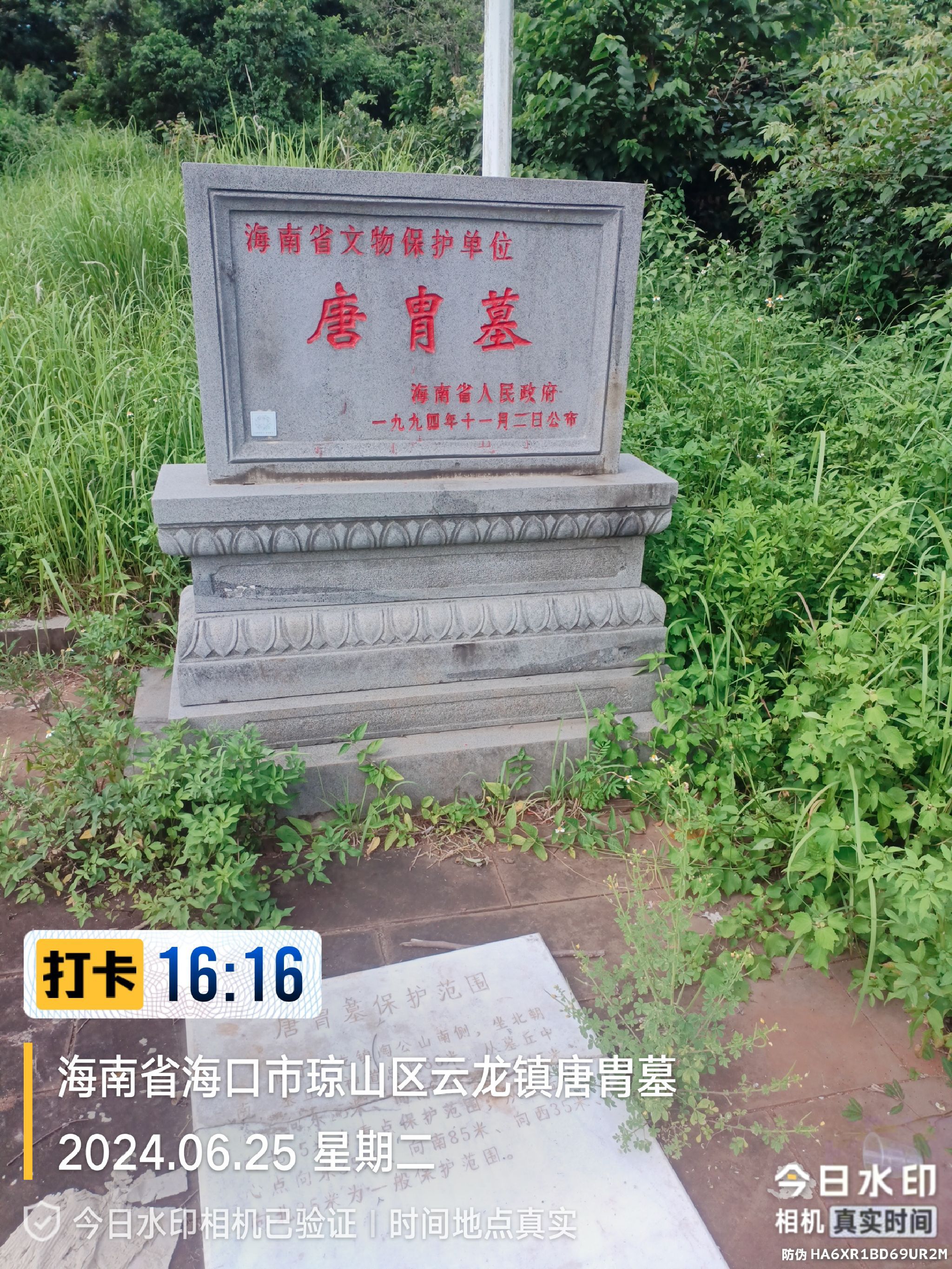 唐胄墓旅行图片 1
