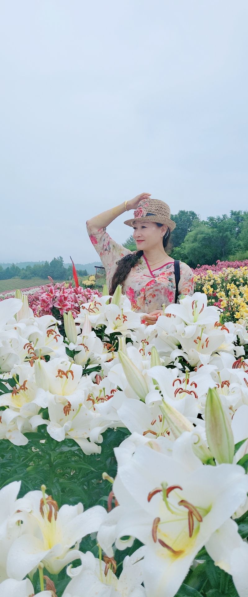东胜村百合园旅行图片 3