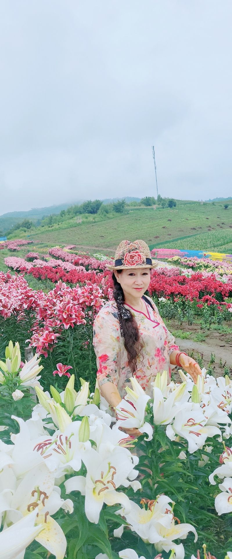 东胜村百合园旅行图片 1