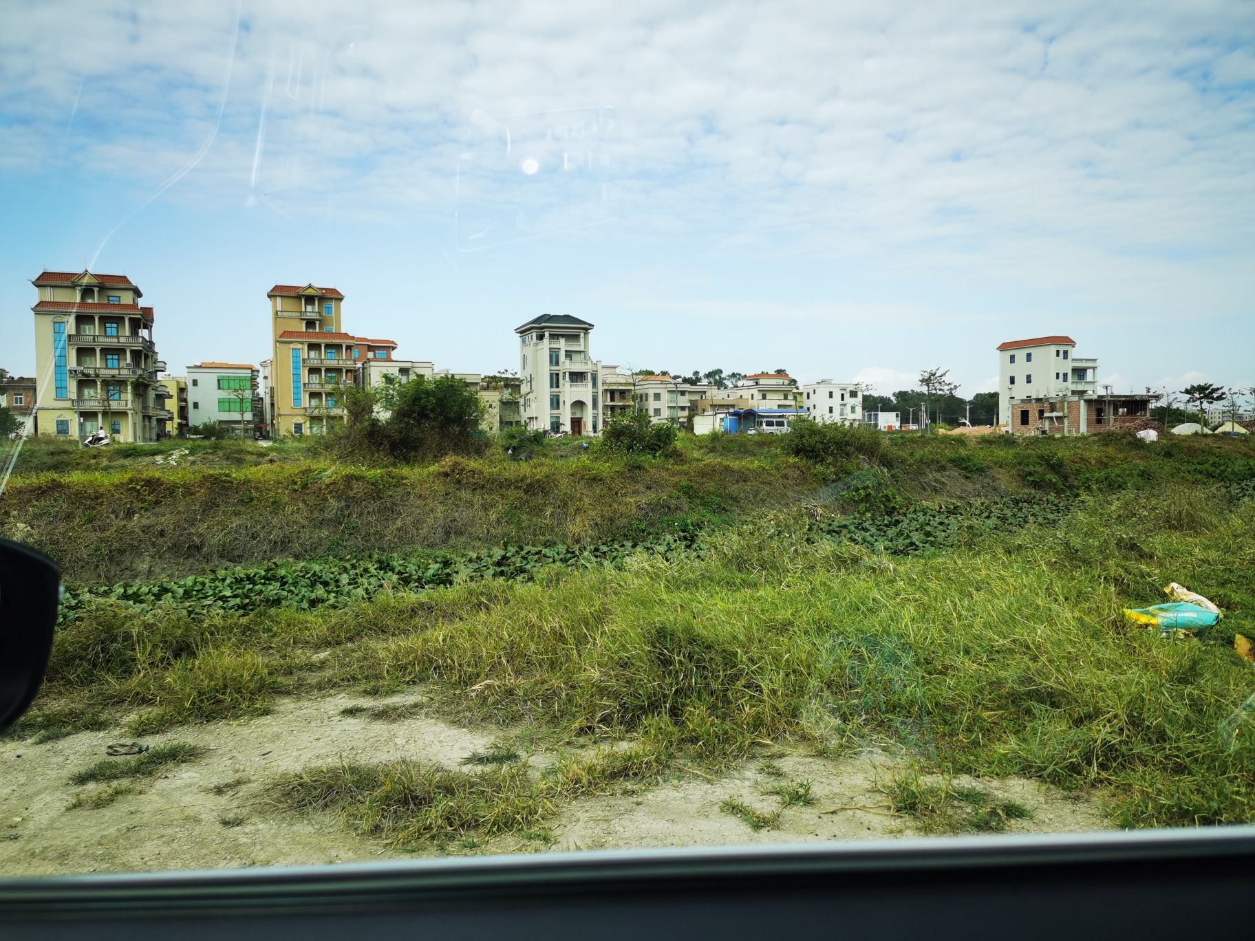吴川市大塘山村白鹭保护区旅行图片 3