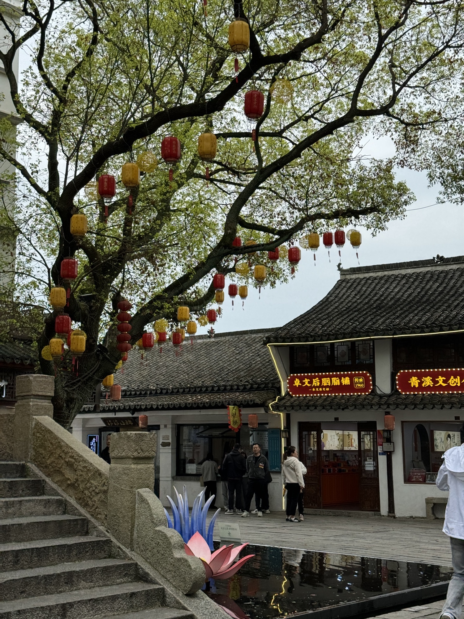 青溪古镇旅行图片 2