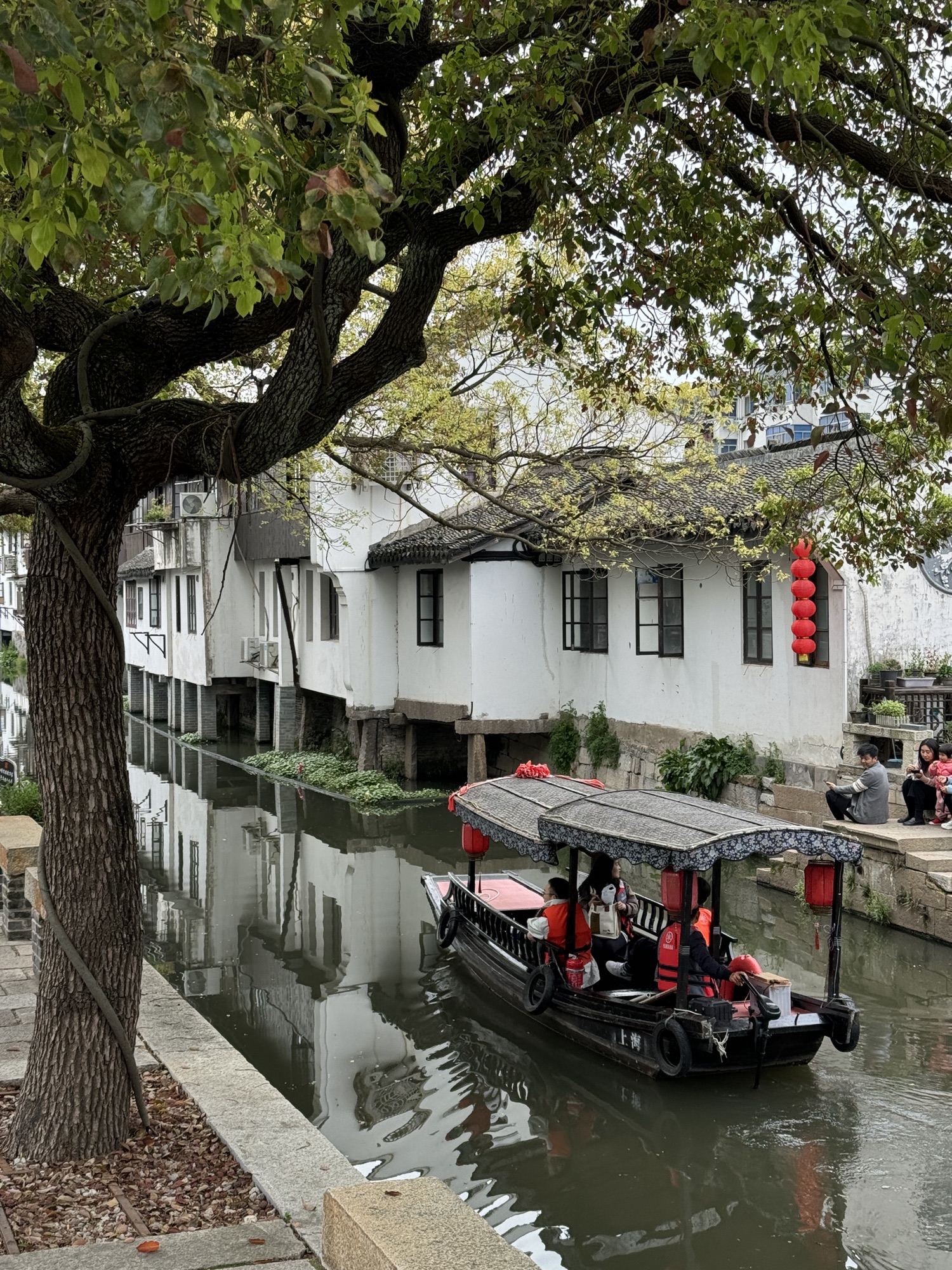 青溪古镇旅行图片 3