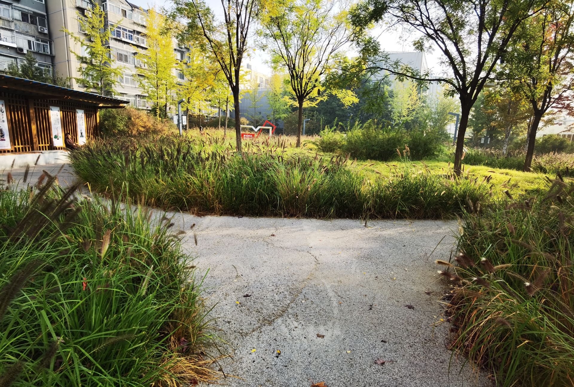 平坡草树公园旅行图片 3