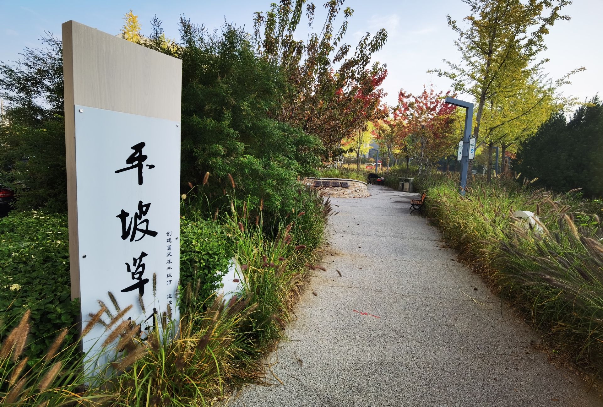 平坡草树公园旅行图片 1