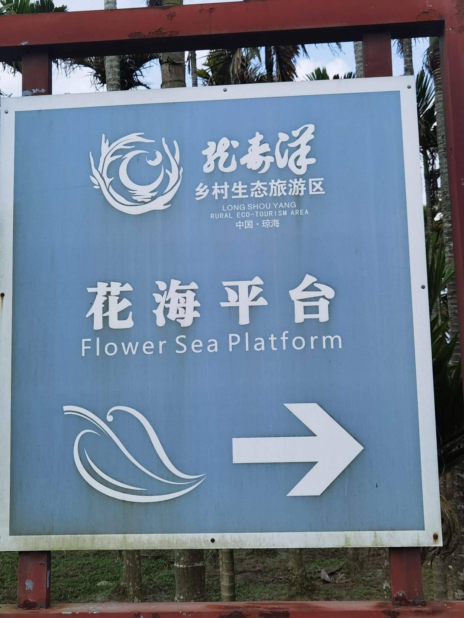 琼海龙寿洋花海
