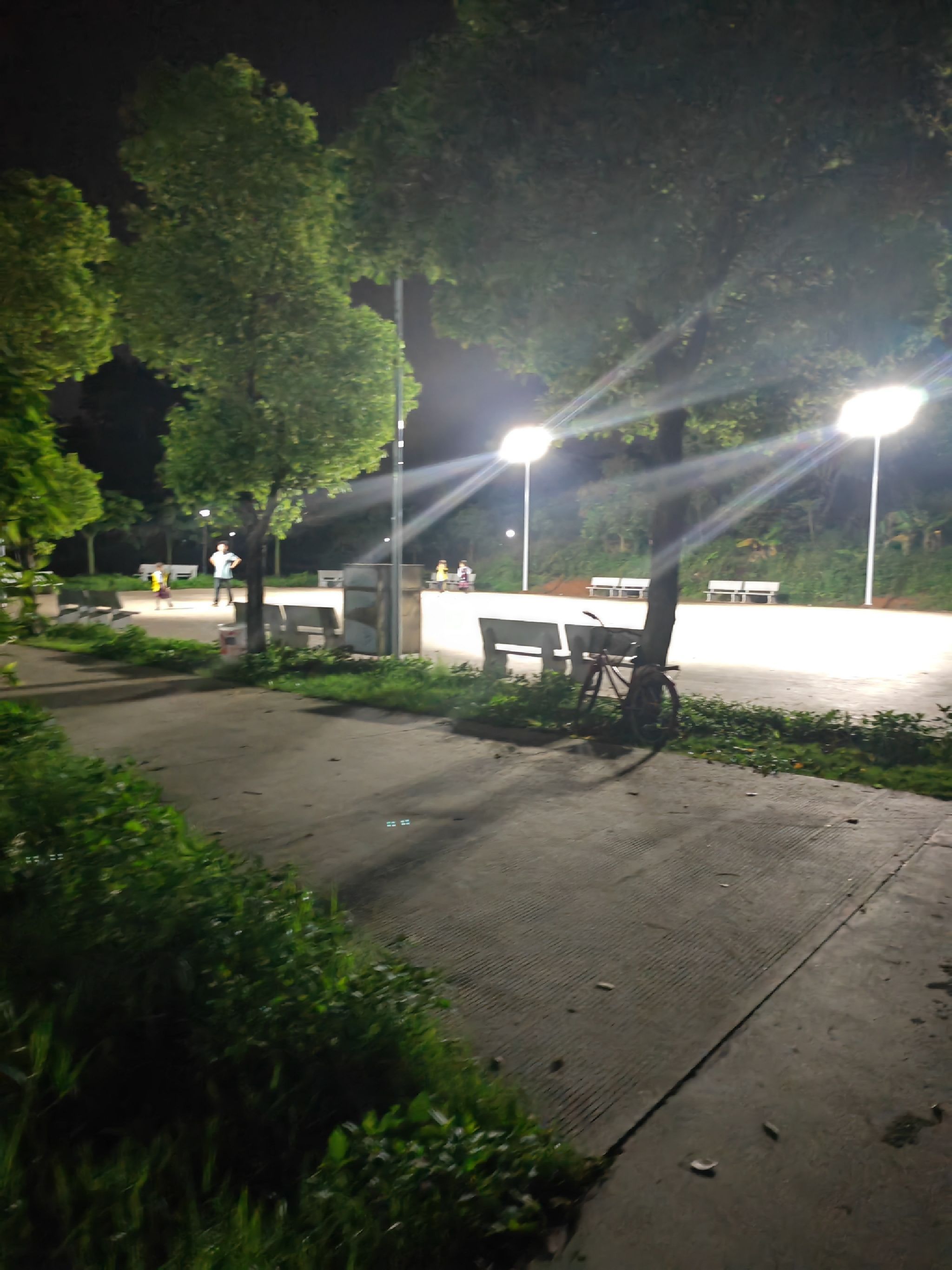 四村休闲公园旅行图片 2