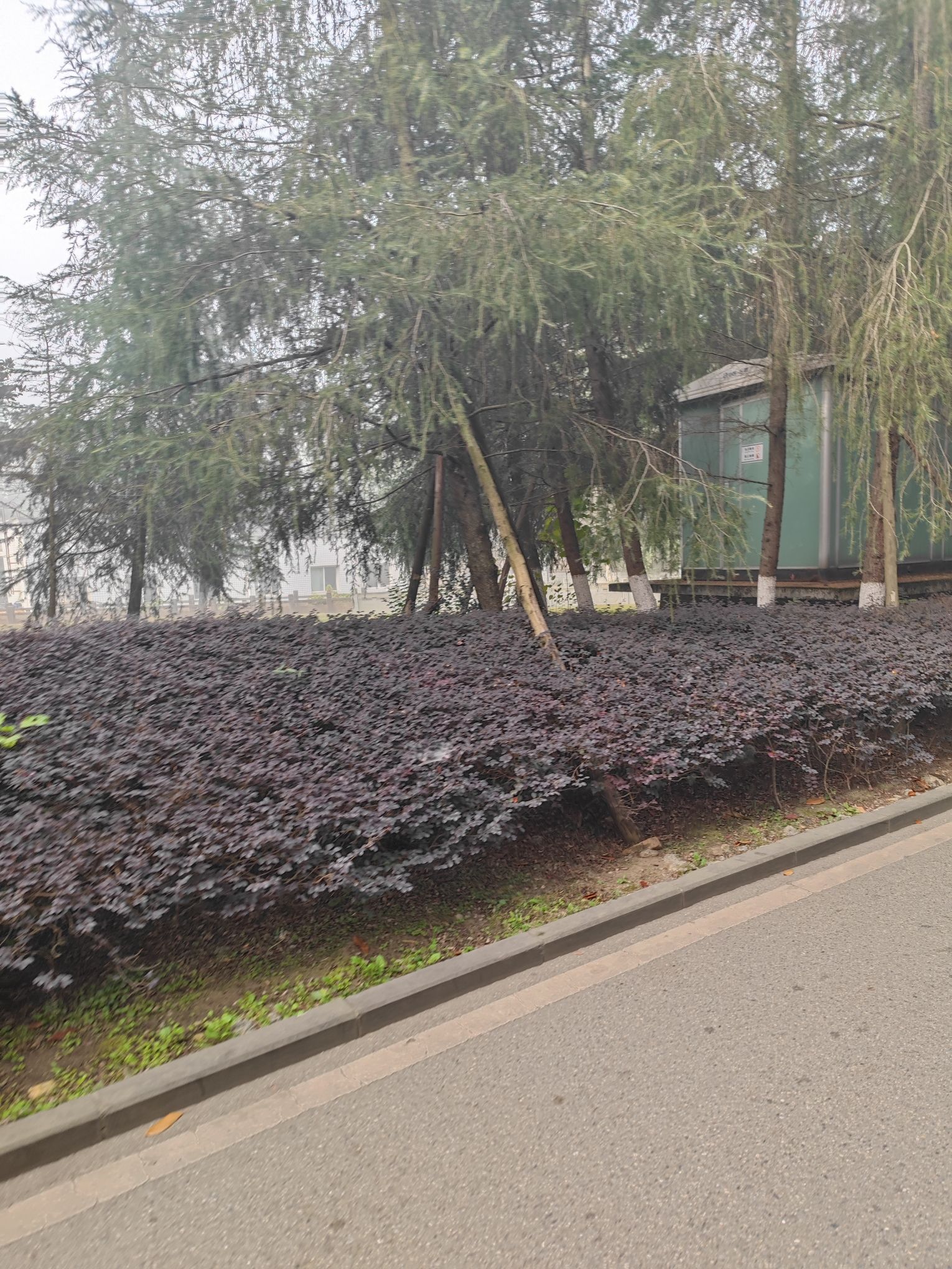 金雁体育公园旅行图片 1