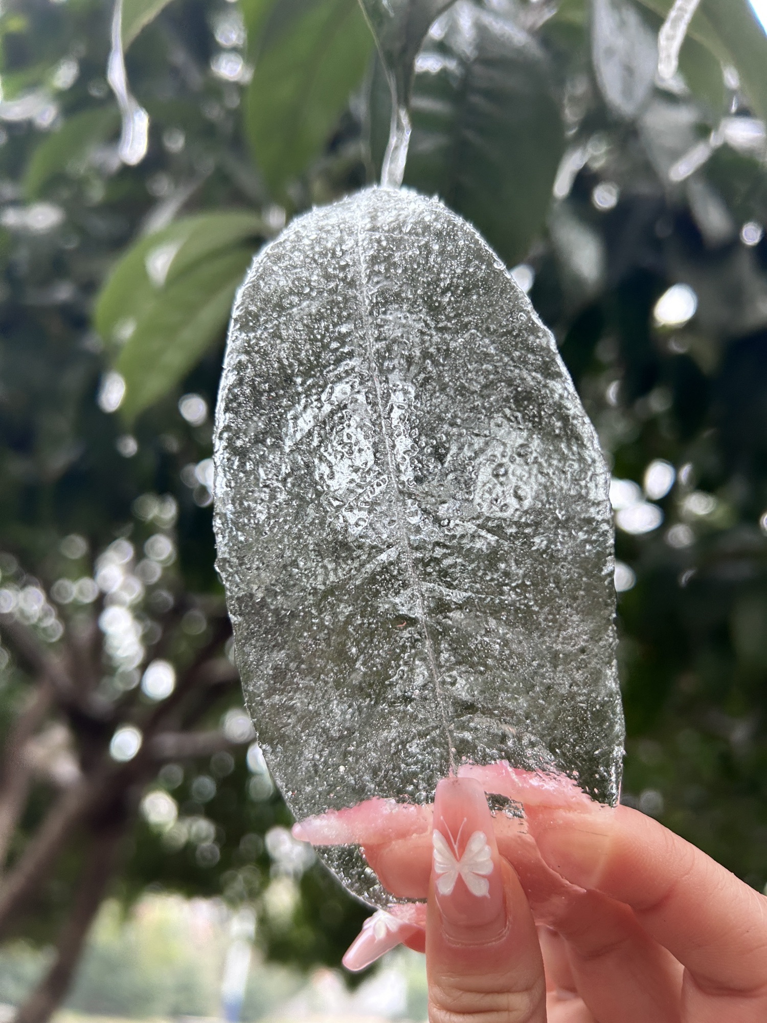 东阳广场旅行图片 1